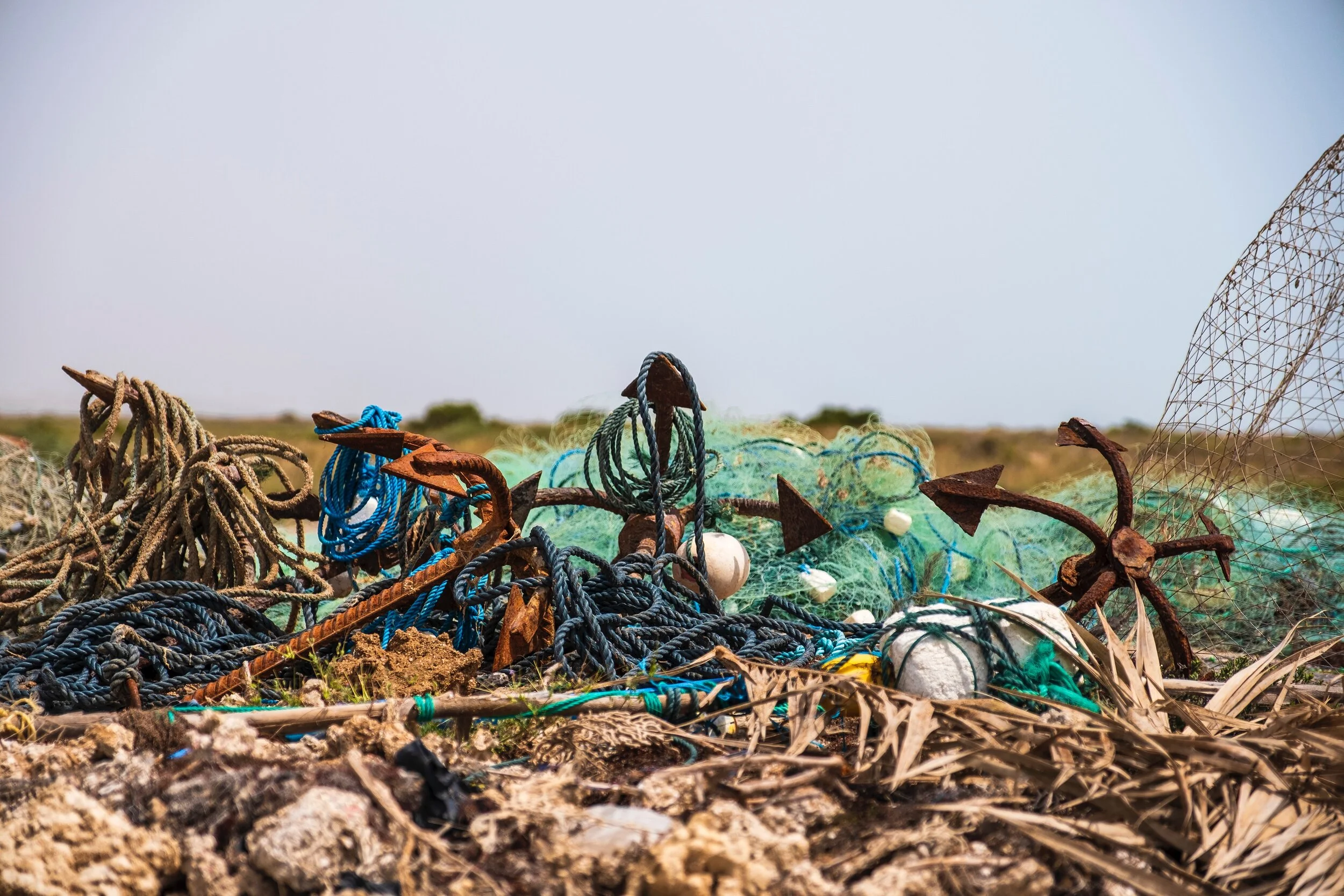 REPORT ON CHEMICALS MANAGEMENT PLAN: Meetings of the Stakeholder Advisory Council and Multi-Stakeholder Meeting, May 21 – 24, 2019 Ottawa, Ontario