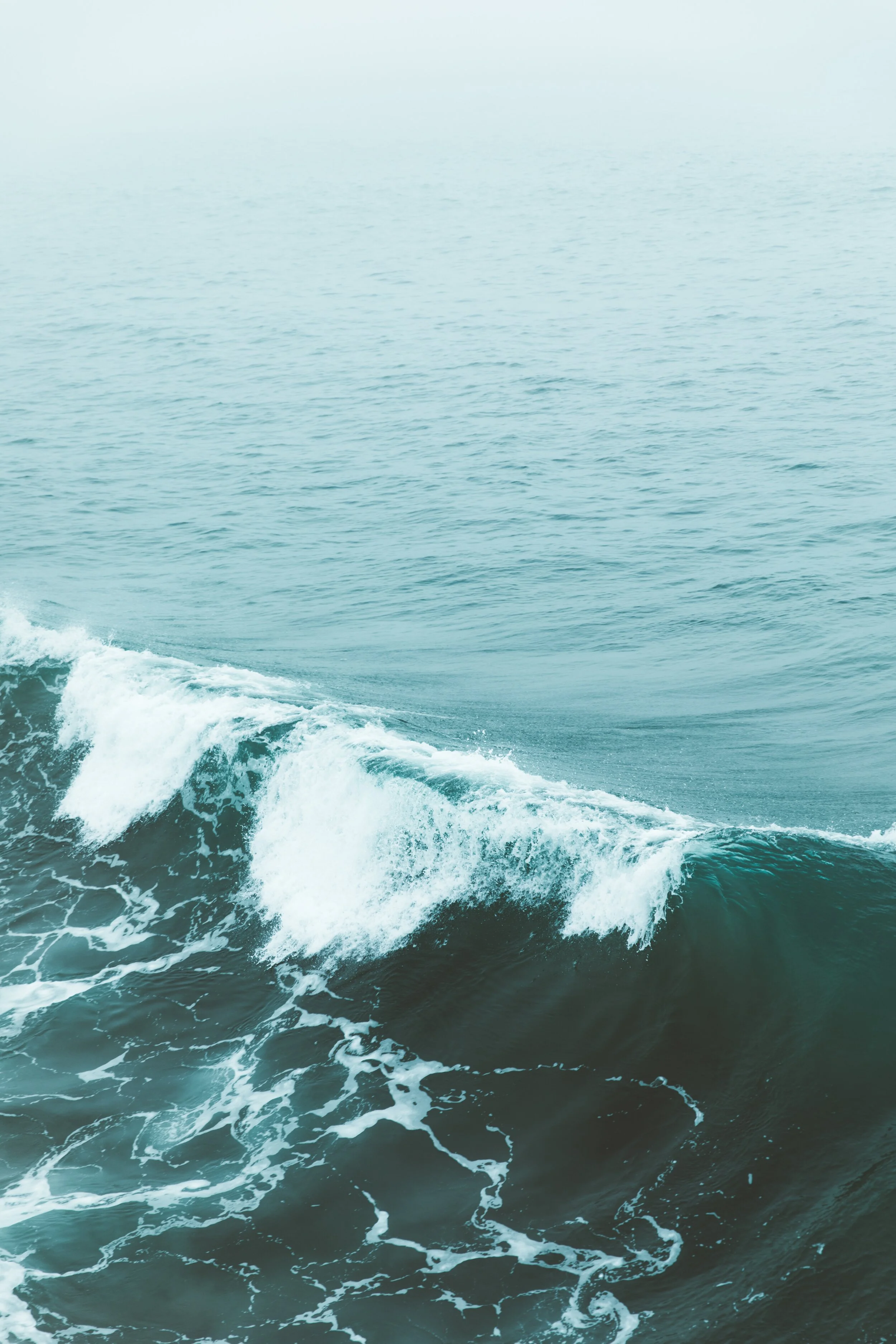 Let’s Talk Tidal Power:What’s Happening in the Bay of Fundy?