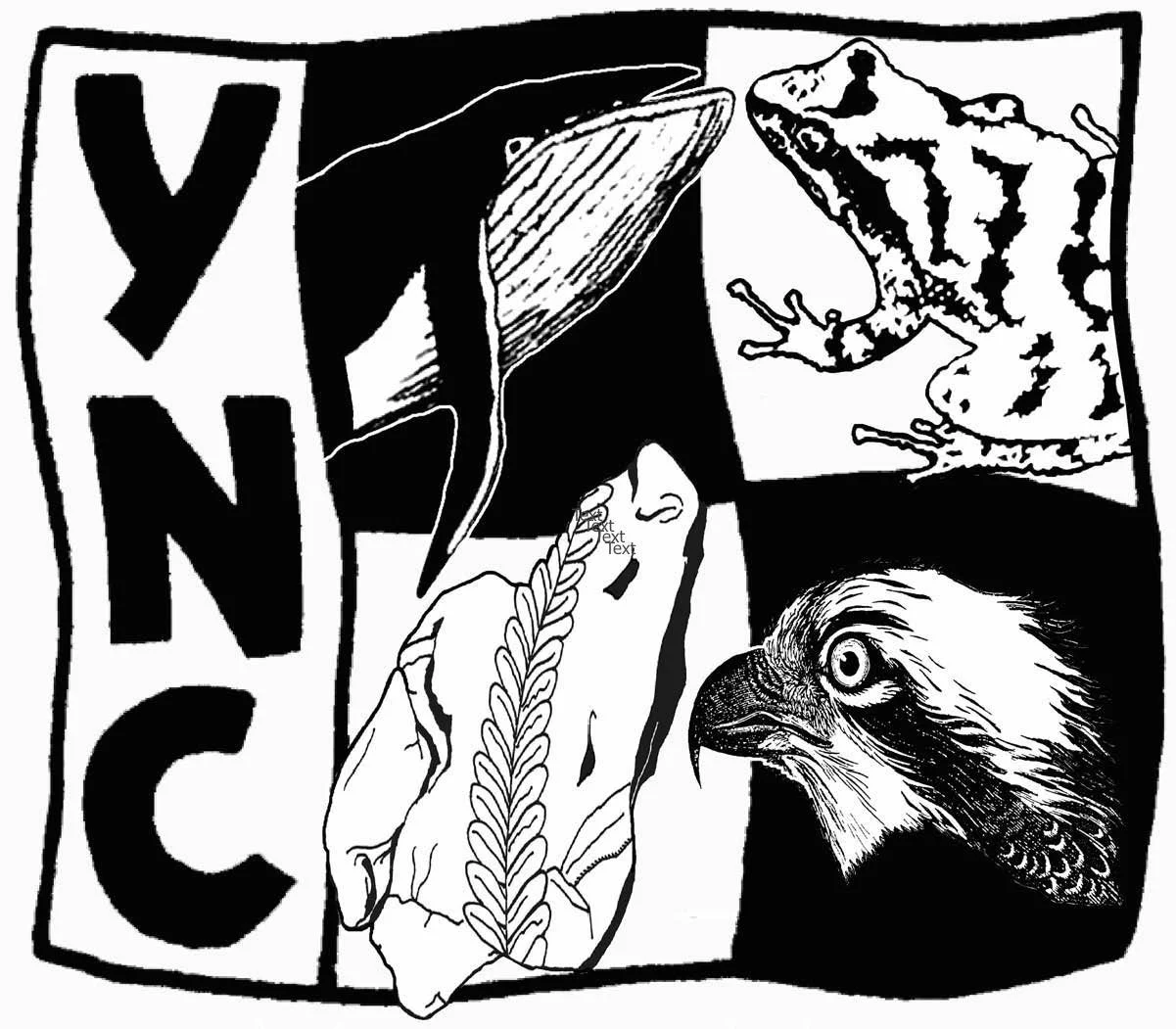 Young Naturalists Club of Nova Scotia