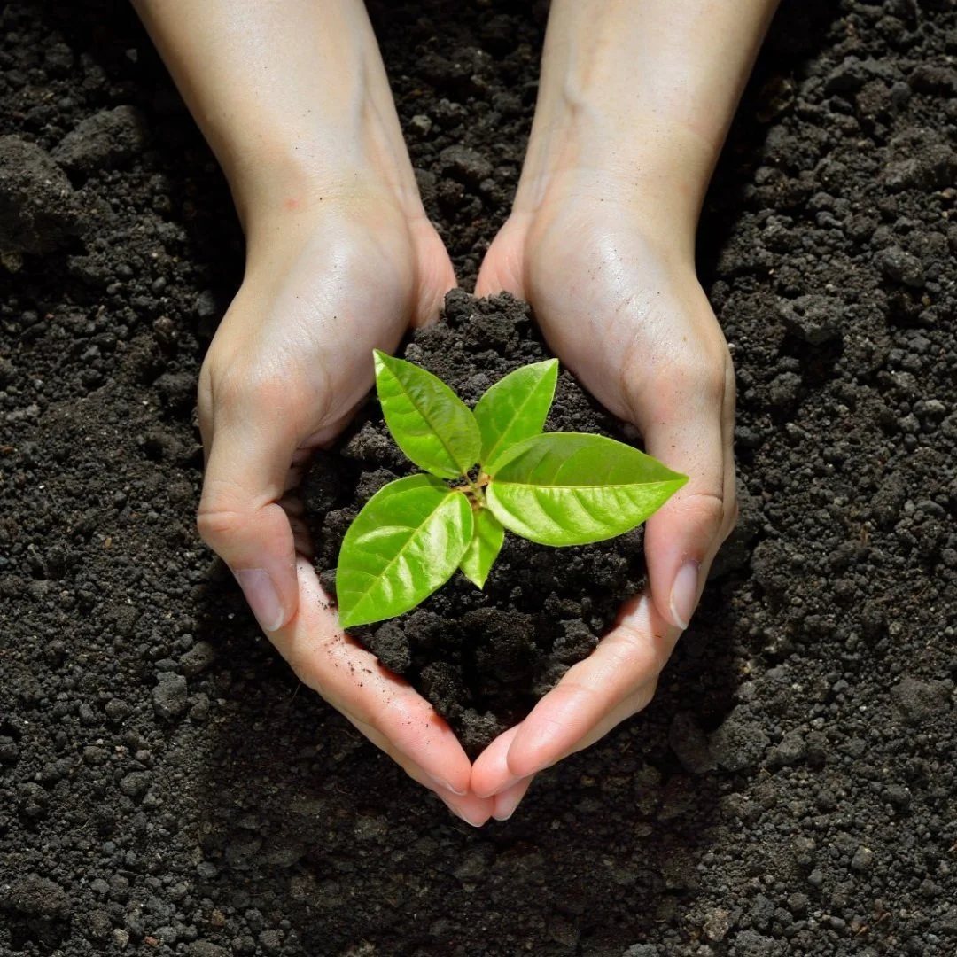 The Nova Scotia Environmental Goals and Climate Change Act