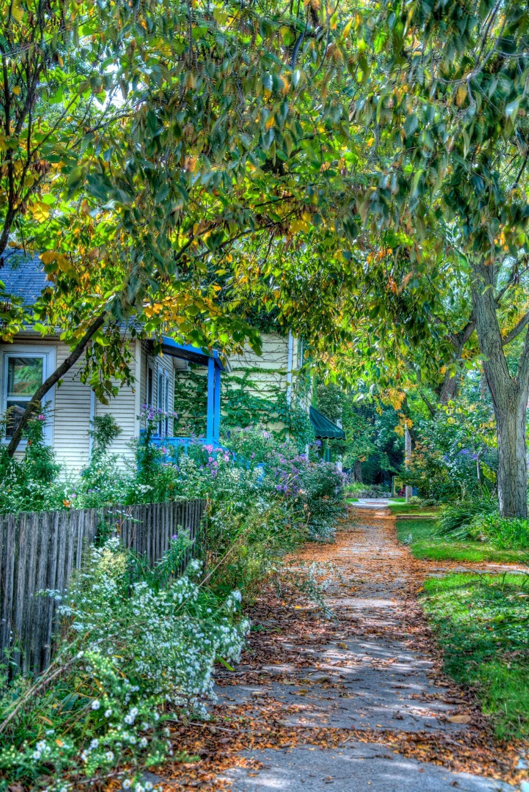 On Rutledge-3 (Large).jpg