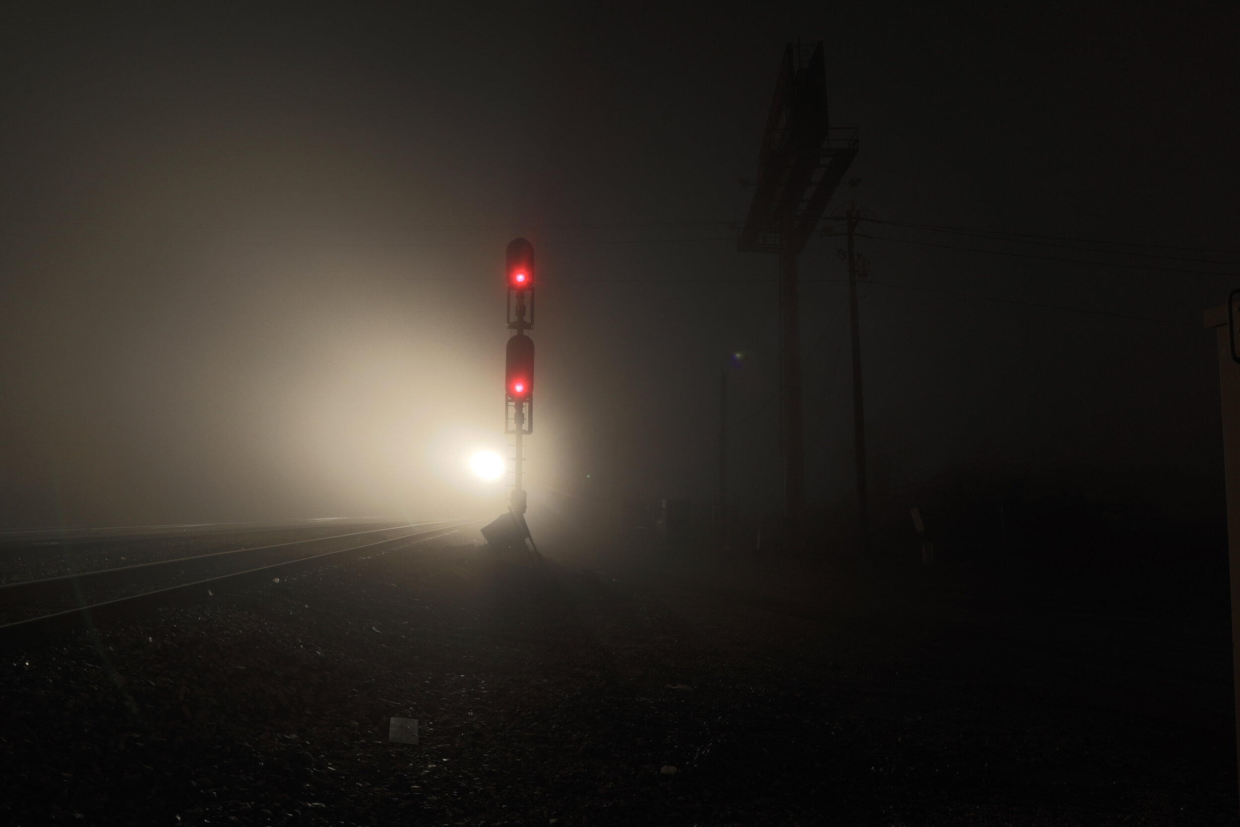 _Z9A0721.jpg