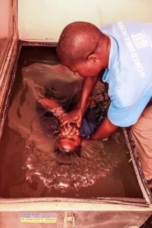 2015-09-26 20.14.10.JPG