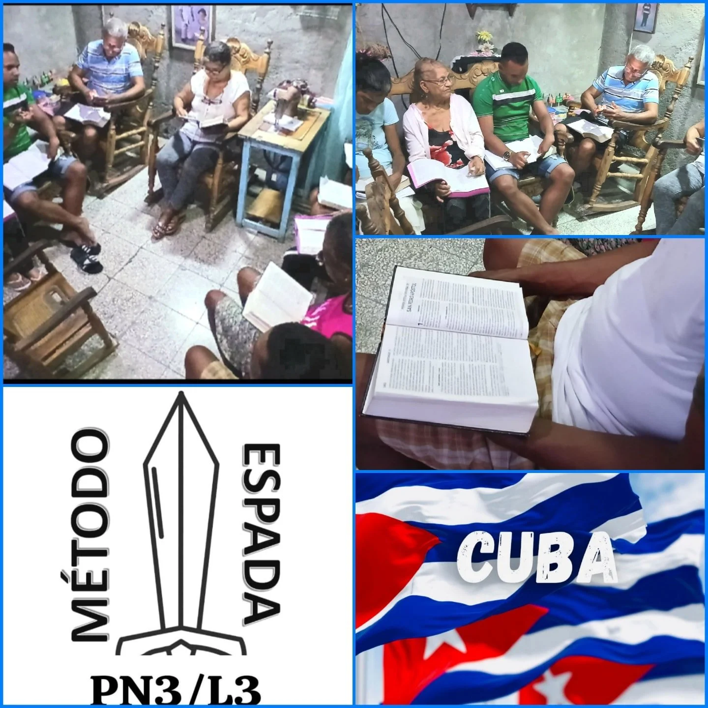 PALMA SYRIANO CUBA. PROJECT N3/L3 DEVELOPING LEADERS WHO MULTIPLY THROUGH BIBLICAL DISCOVERY SWORD METHOD.
