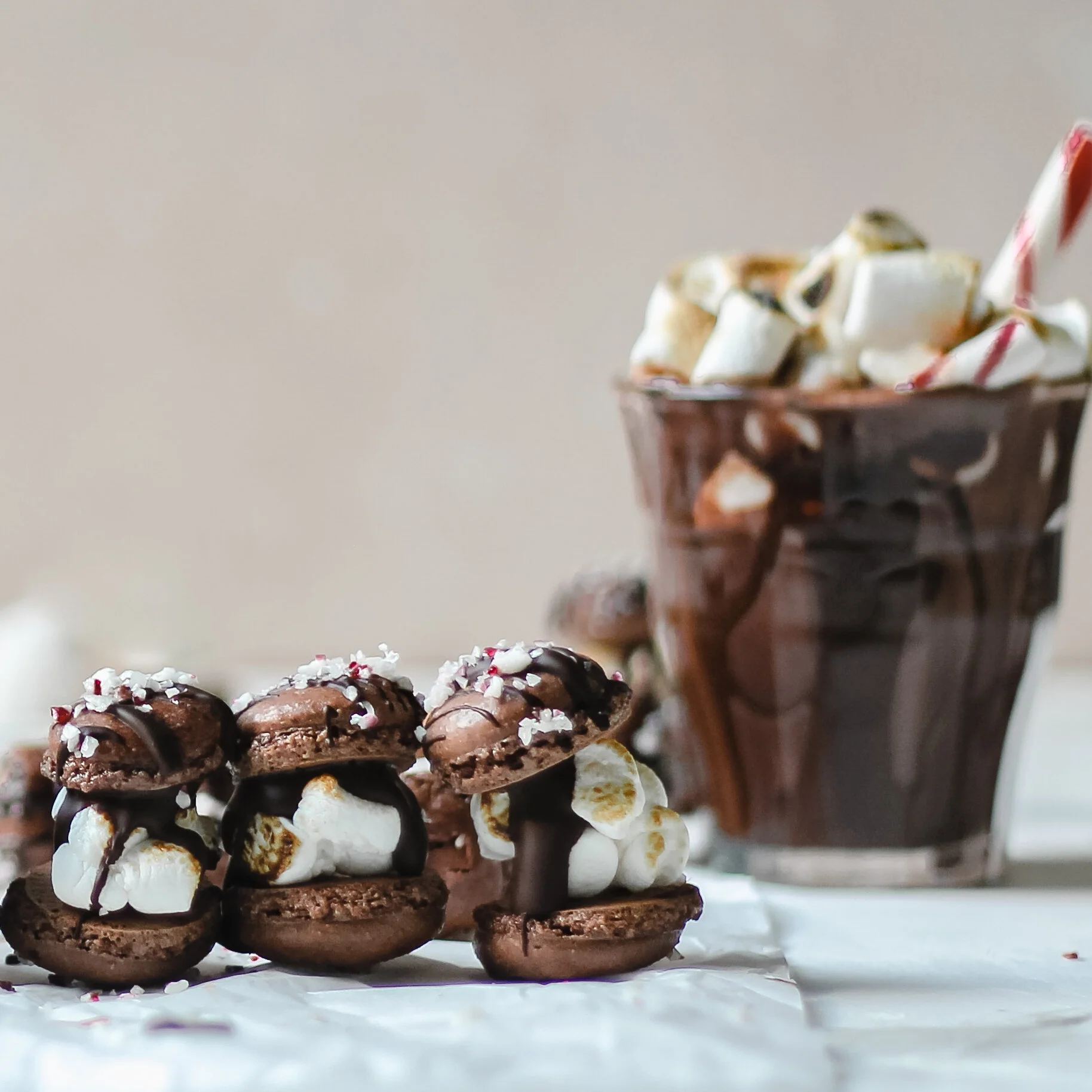 Peppermint Hot Cocoa Macarons (GF, Dairy Free, Vegan Option) 