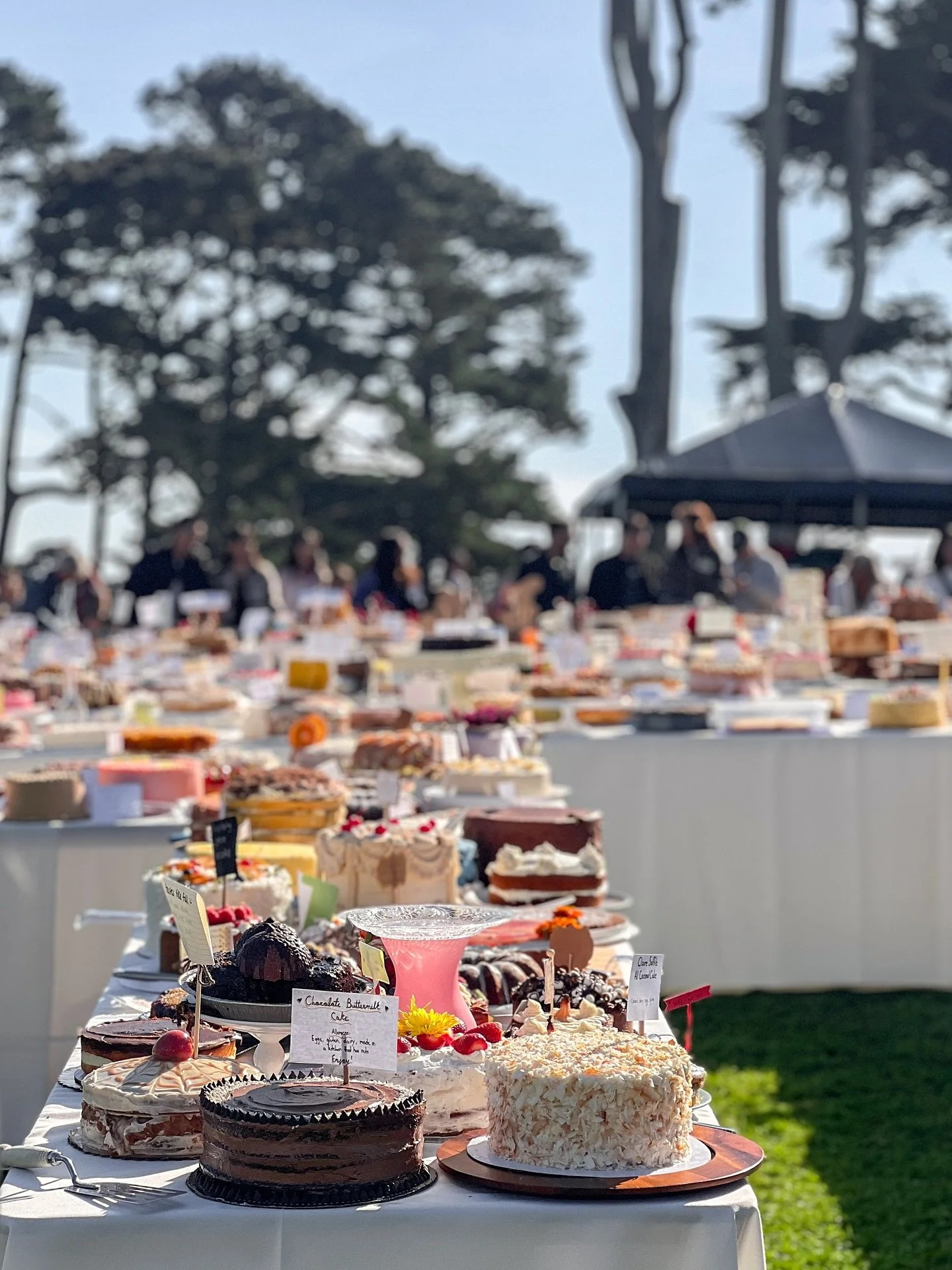 highlights from @cakepicnictour San Francisco! comment your BEST GUESS as to how many cakes showed up 🍰