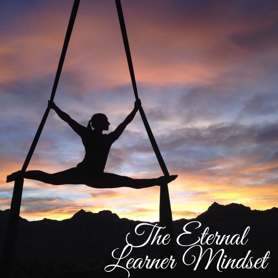 The Eternal Learner Mindset