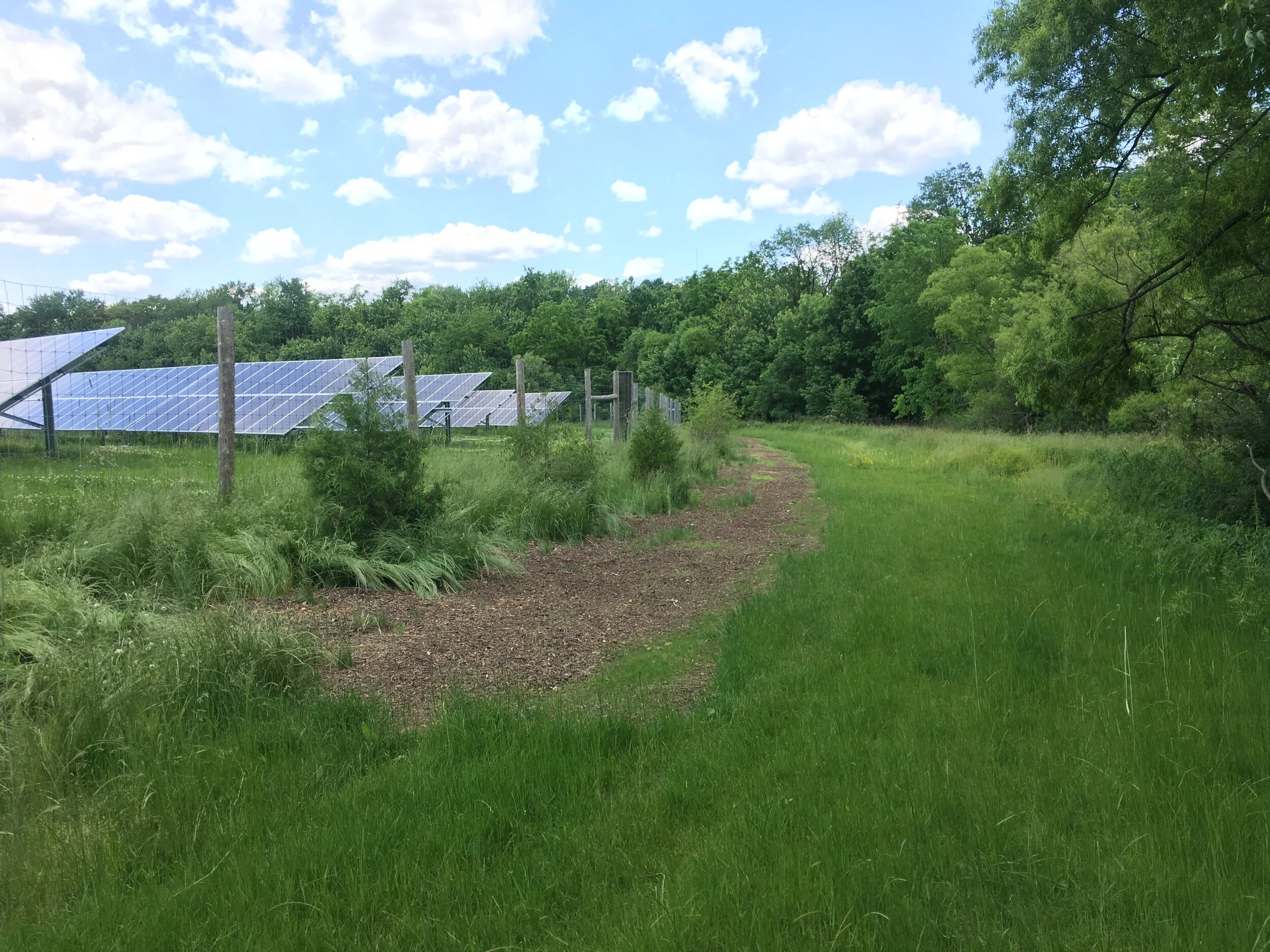 On some projects, landscaping creates a visual buffer.  