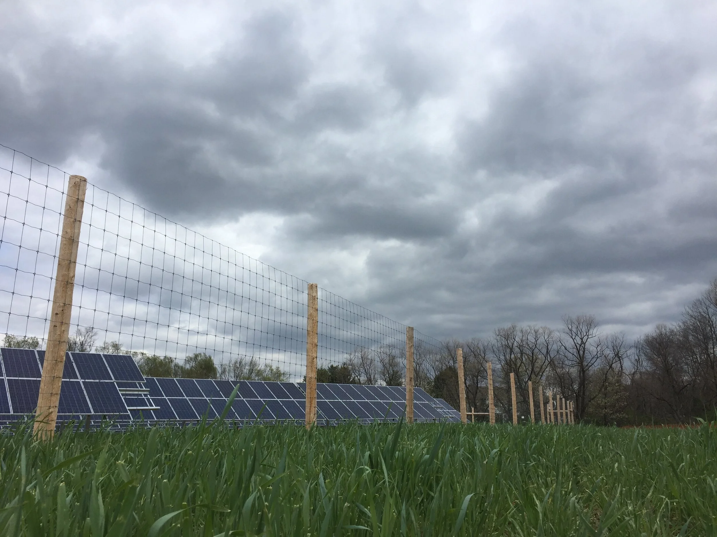 Fixed Tilt Solar Racking & Agricultural Fence