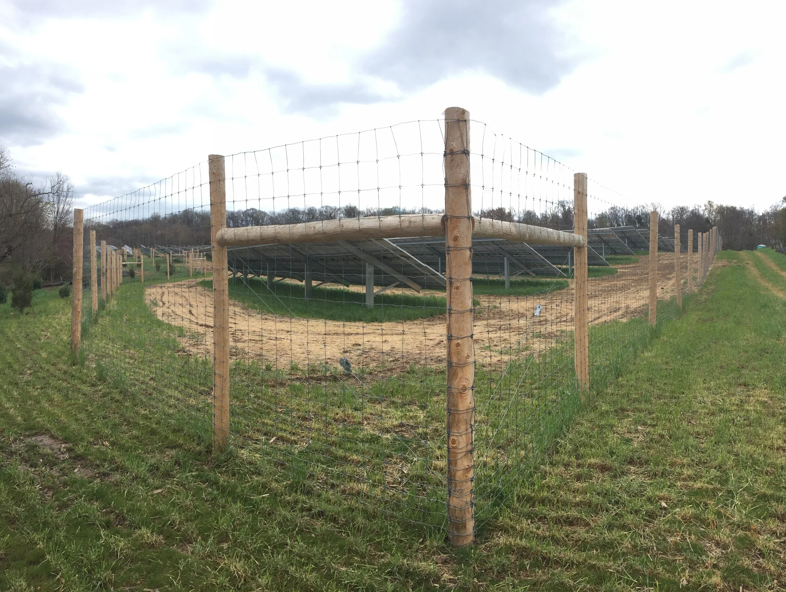 Agricultural Fencing- 8ft tall