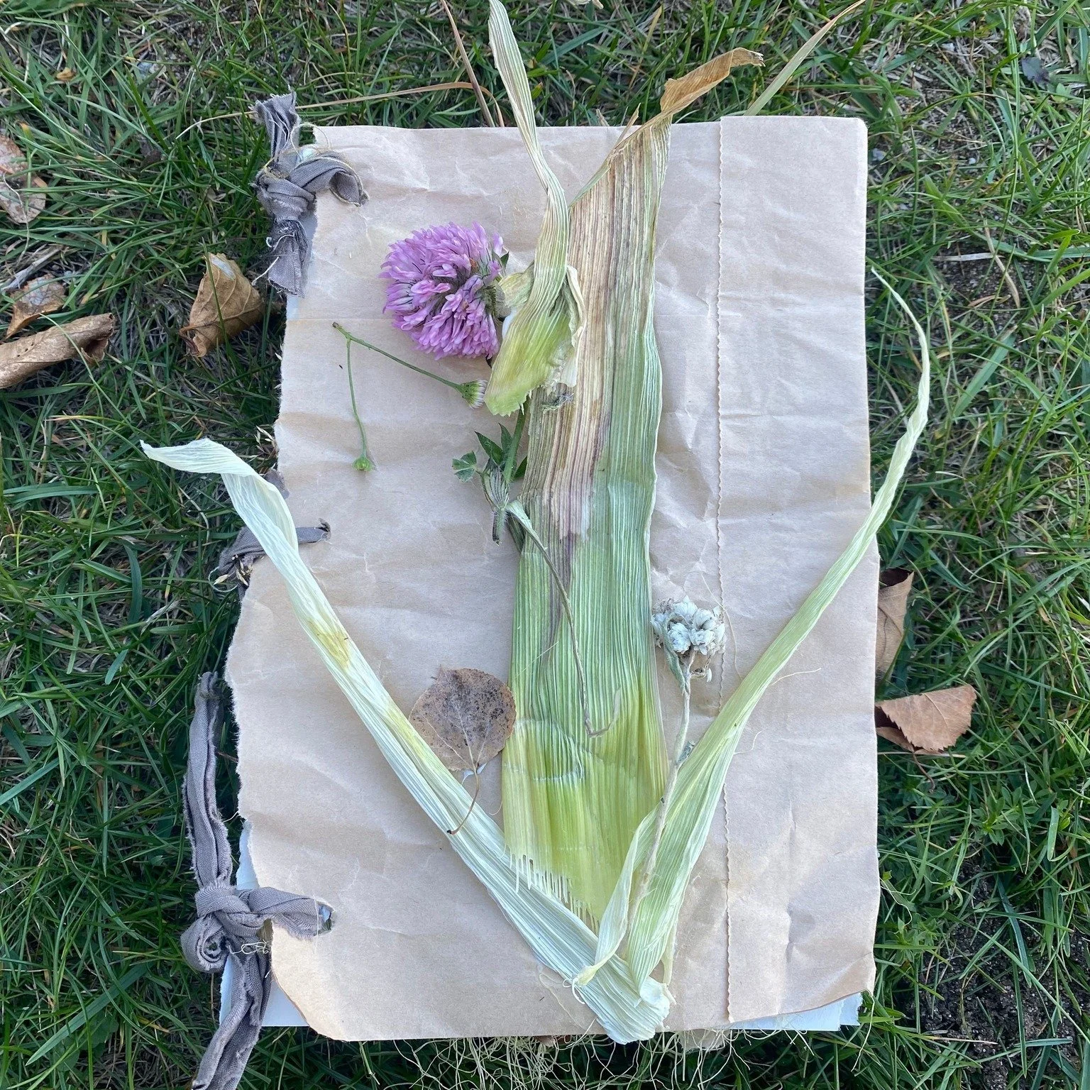 🌿✨ Atelier Herbier des rêves! ✨🌿 samedi à 10h 
Pendant que vos enfants laissent libre cours à leur créativité avec Flor, vous pouvez jaser tranquillement des mésaventures parentales, comme choisir vos batai