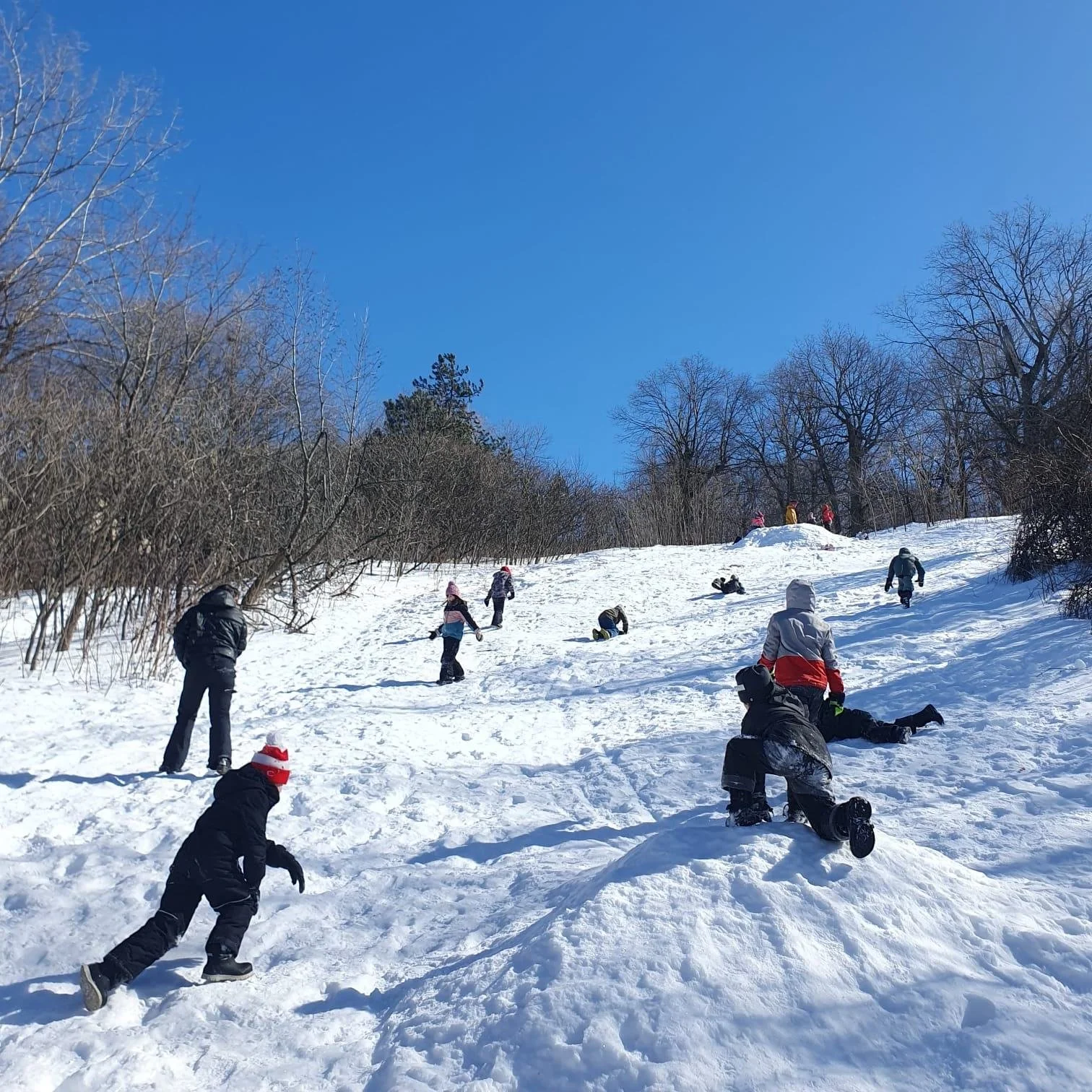 Envie d&rsquo;offrir &agrave; votre pr&eacute;-ado une journ&eacute;e compl&egrave;te dehors pendant la rel&acirc;che? 🌲

Parfait! Marie-Pier, sp&eacute;cialiste des aventures en nature, pr&eacute;pare une exp&eacute;dition au Mont-Royal pour vivre 