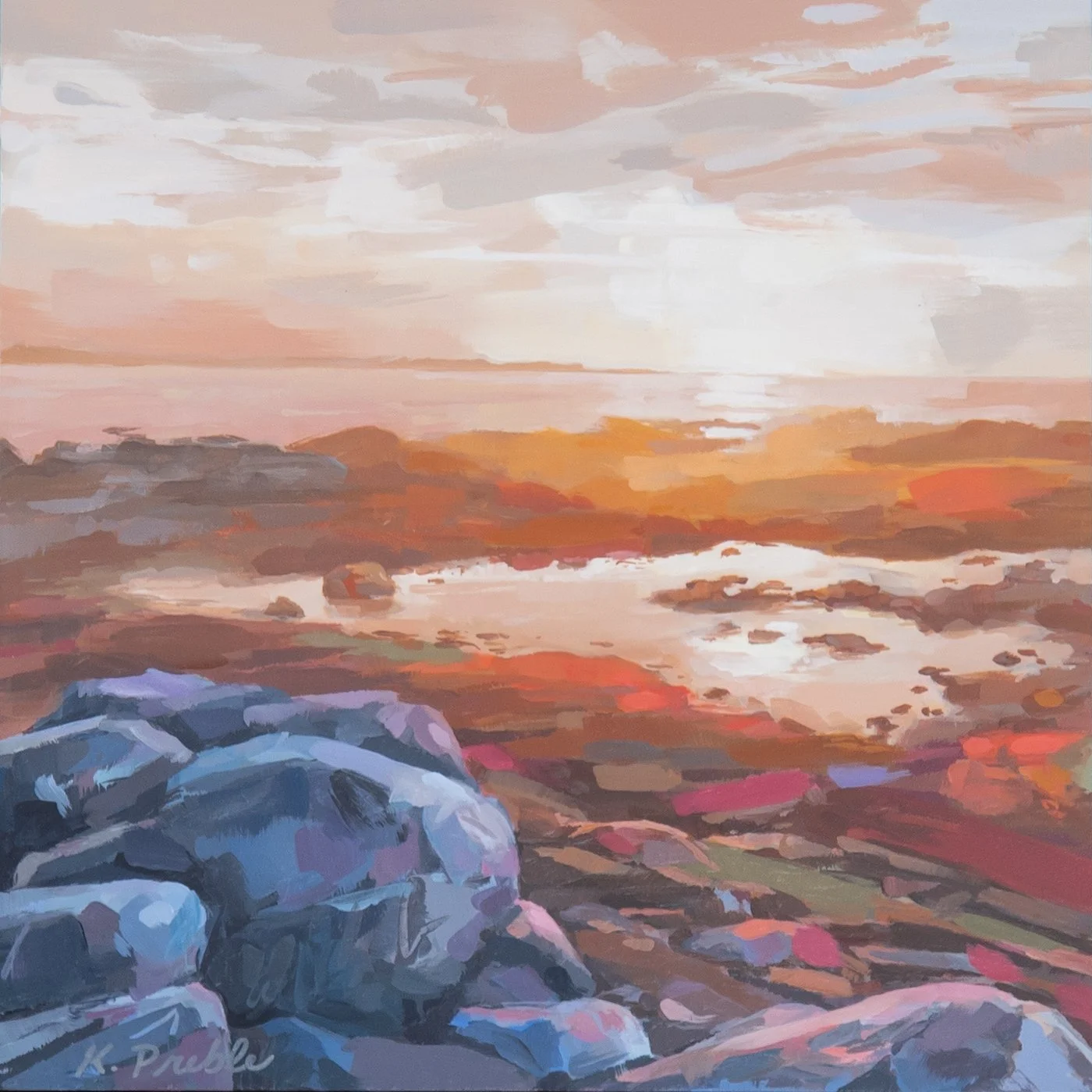 BiddefordPool_web.jpg