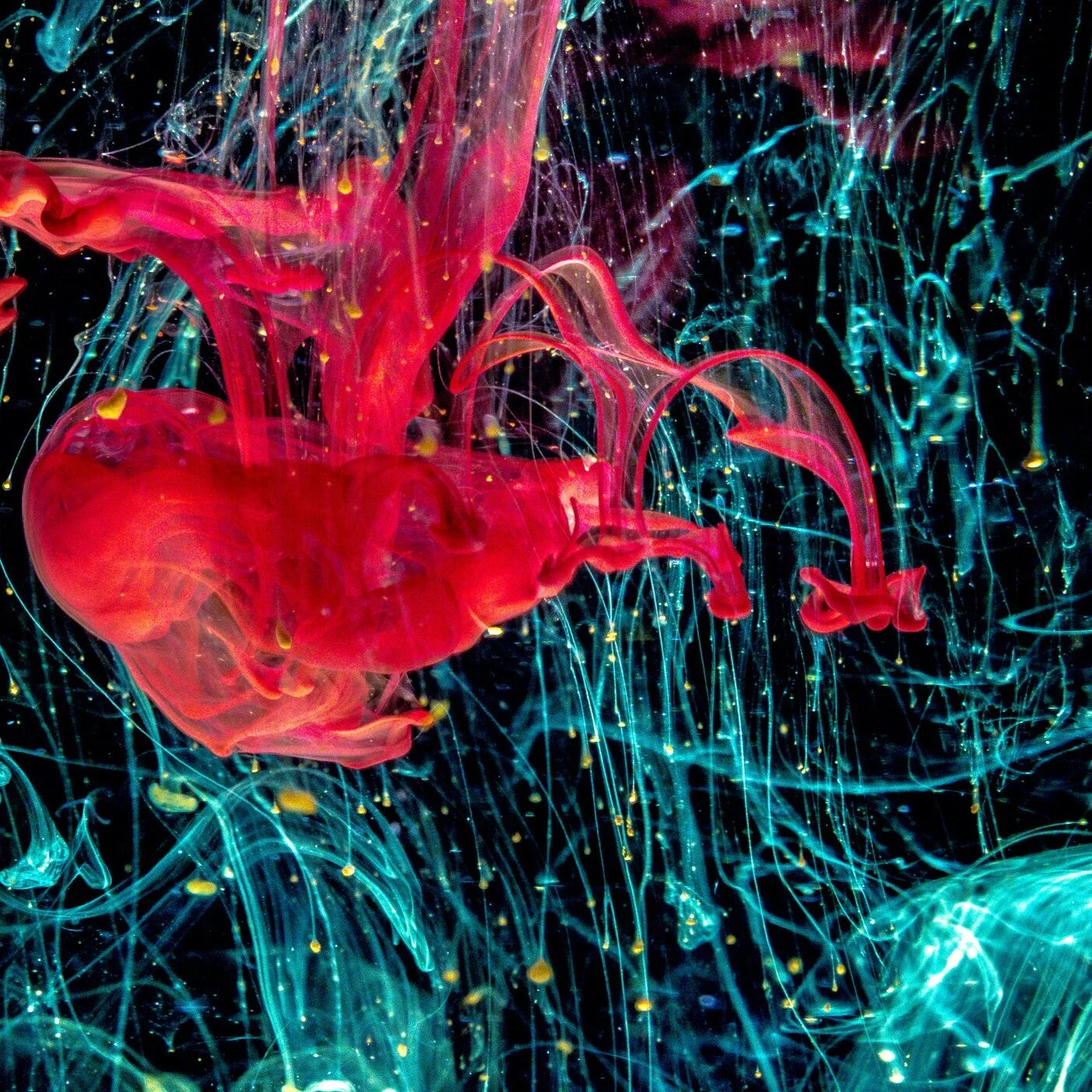 Onboarding Participants — SPARROW HEALTH