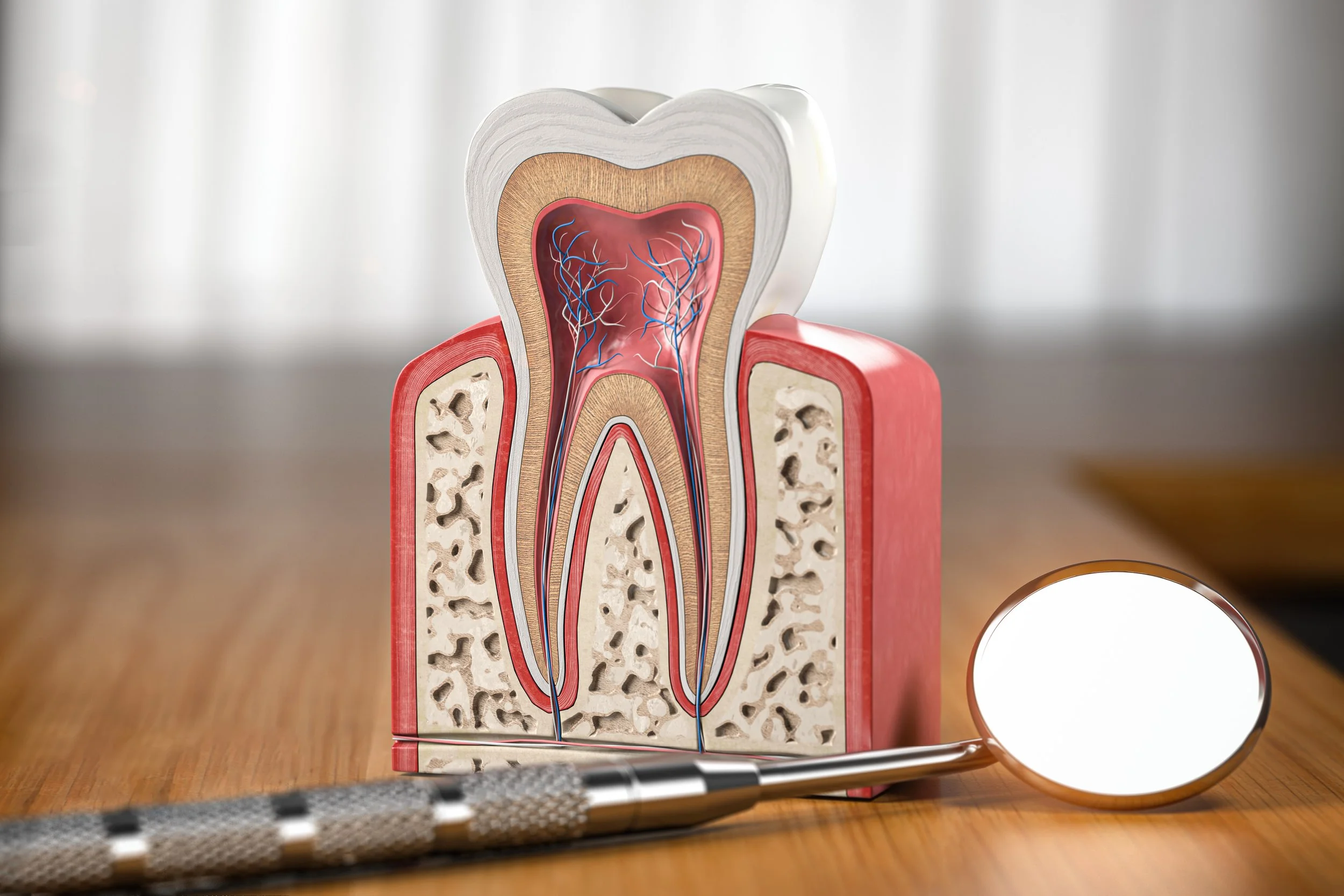 How Long Does a Root Canal Procedure Take?