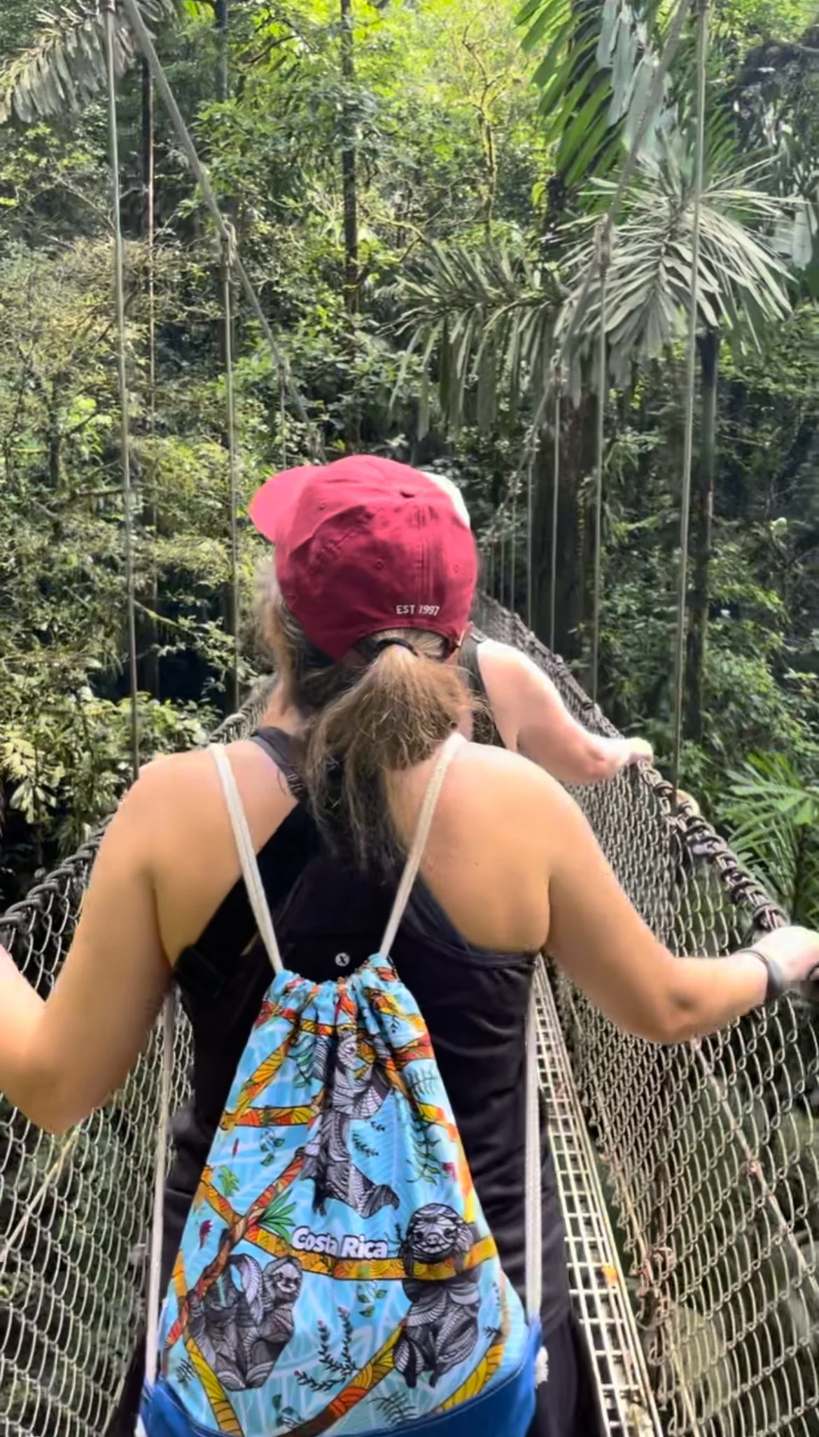 jungle-hiking-rope-bridge.jpg