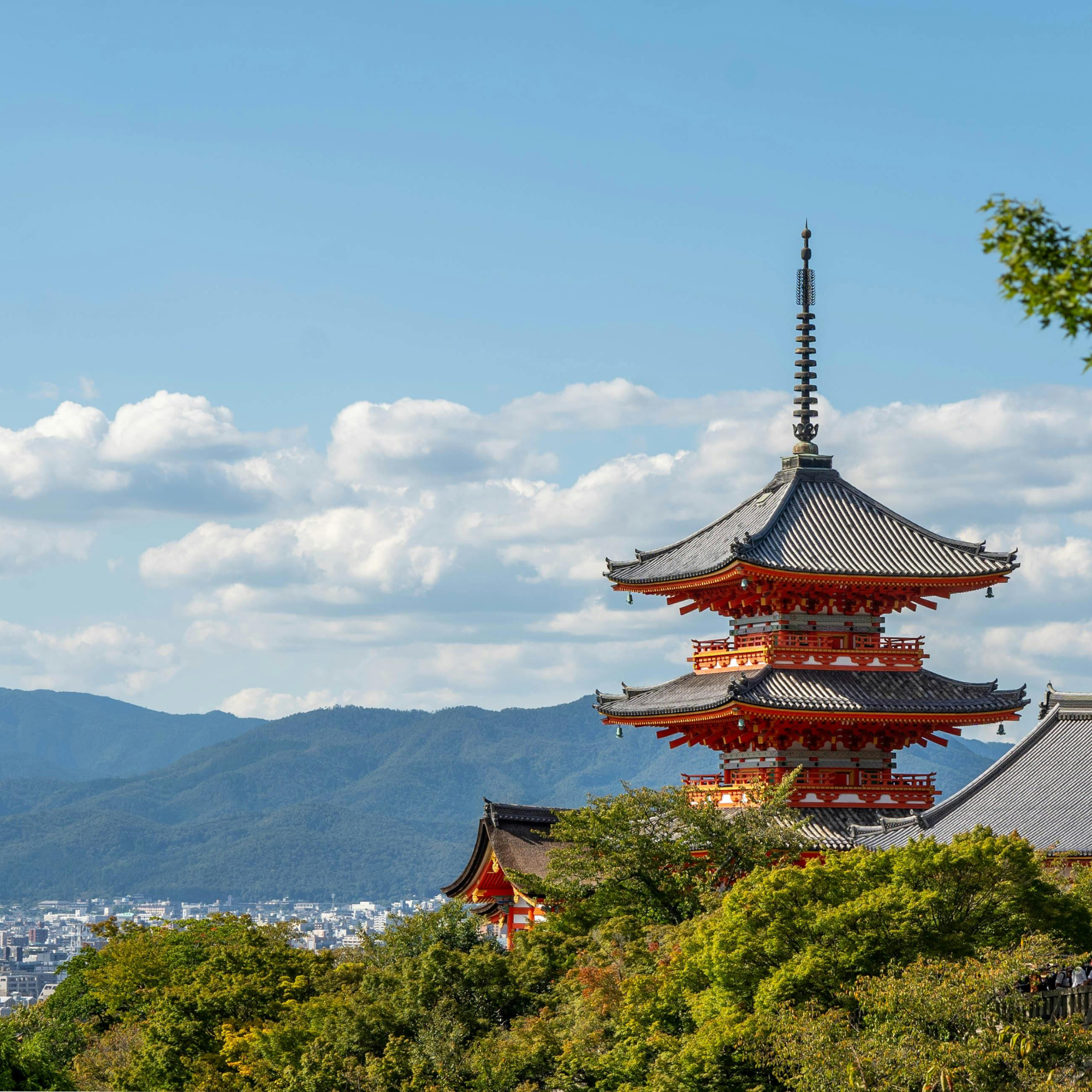 Your Perfect First Time Japan Itinerary A Guide to Tokyo, Kyoto, Osaka, and Tokyo Bay