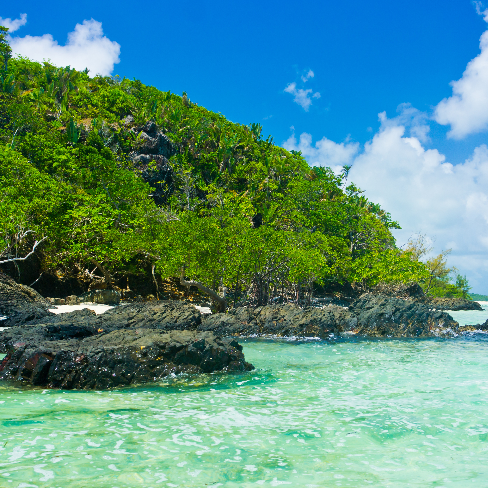 Beach setting with clear water, showing many large rocks and many different types of trees.