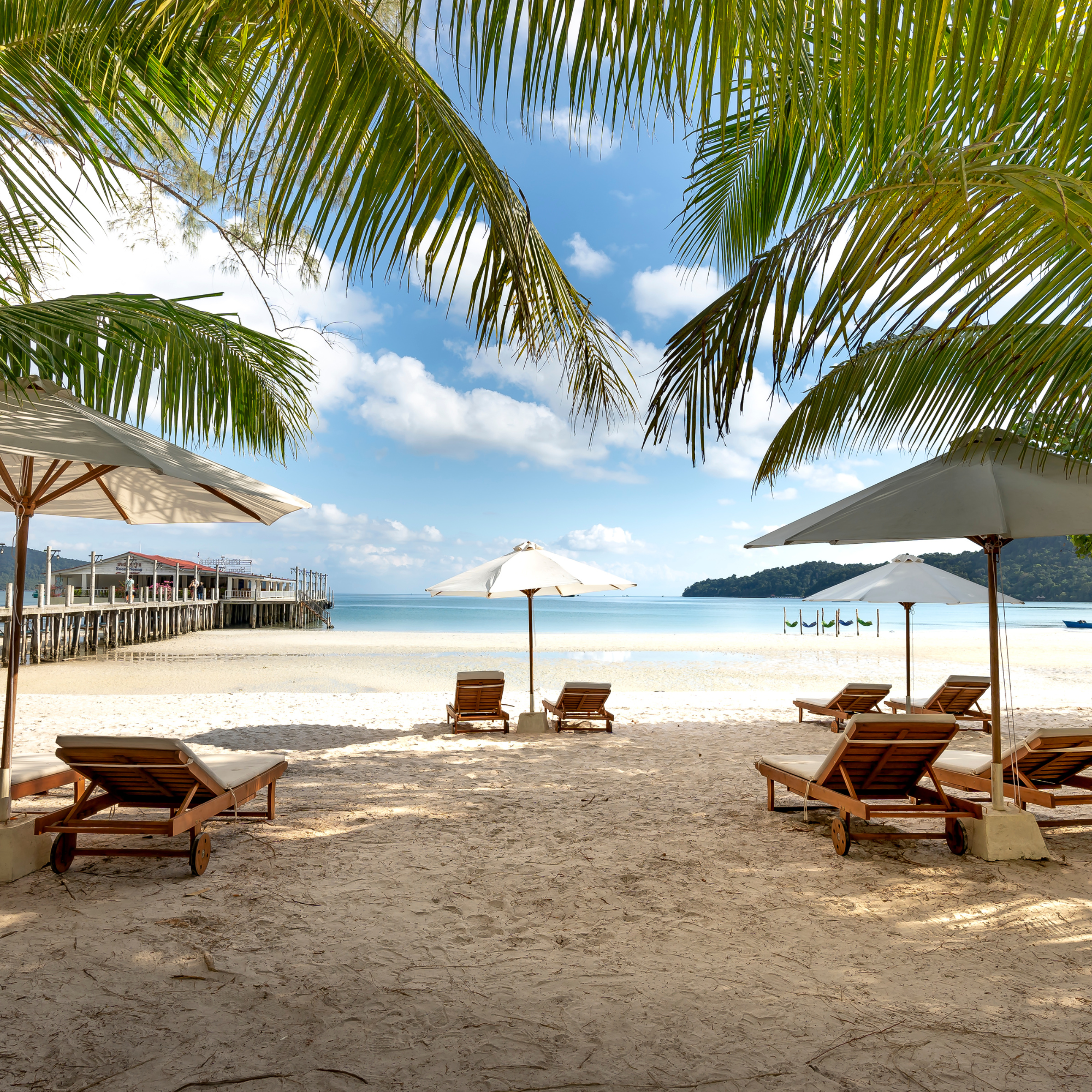 A beach depicting palm trees, beach chairs, and a pier.