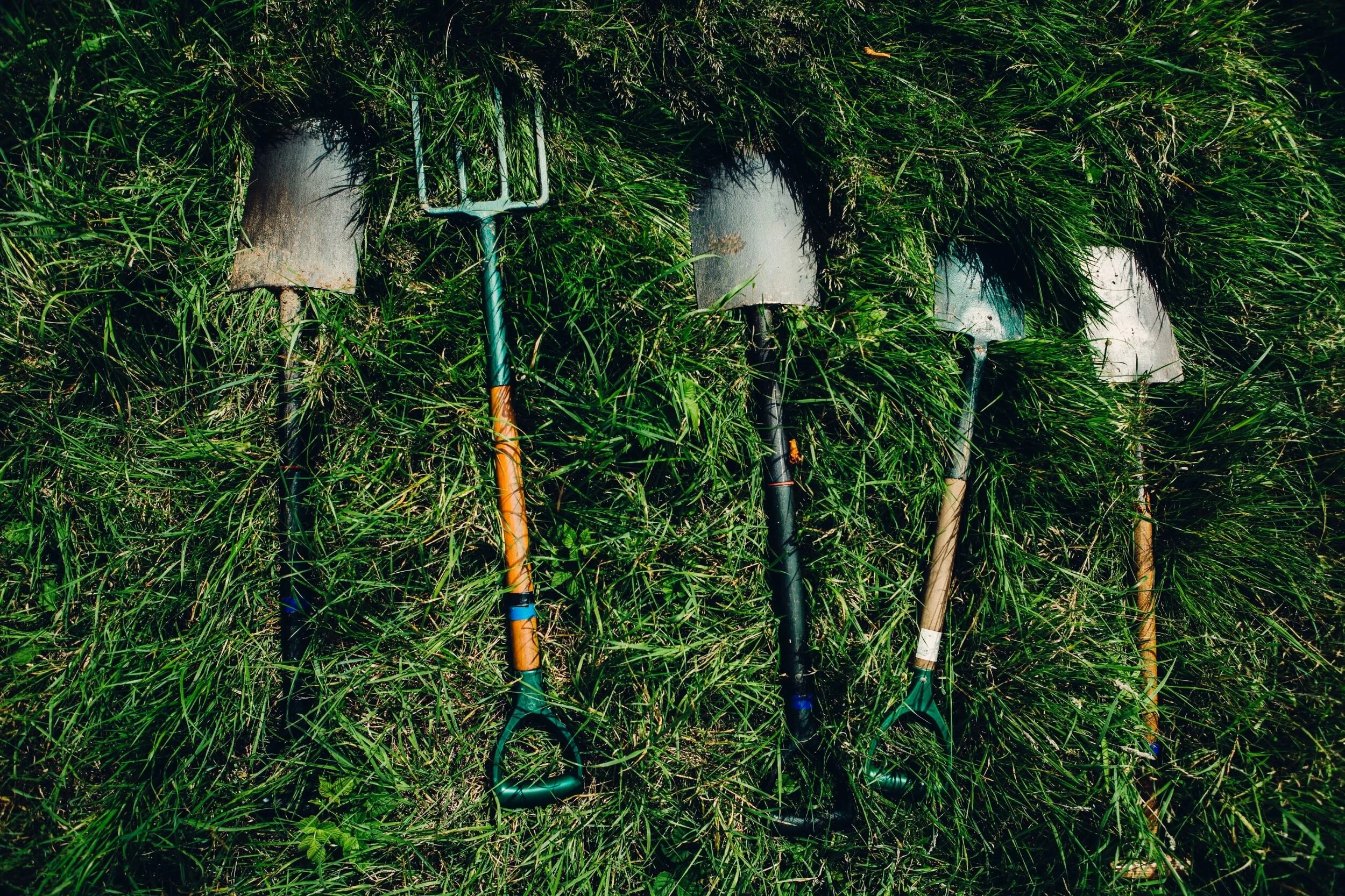 photo: Dylan Nolte  on Unsplash
