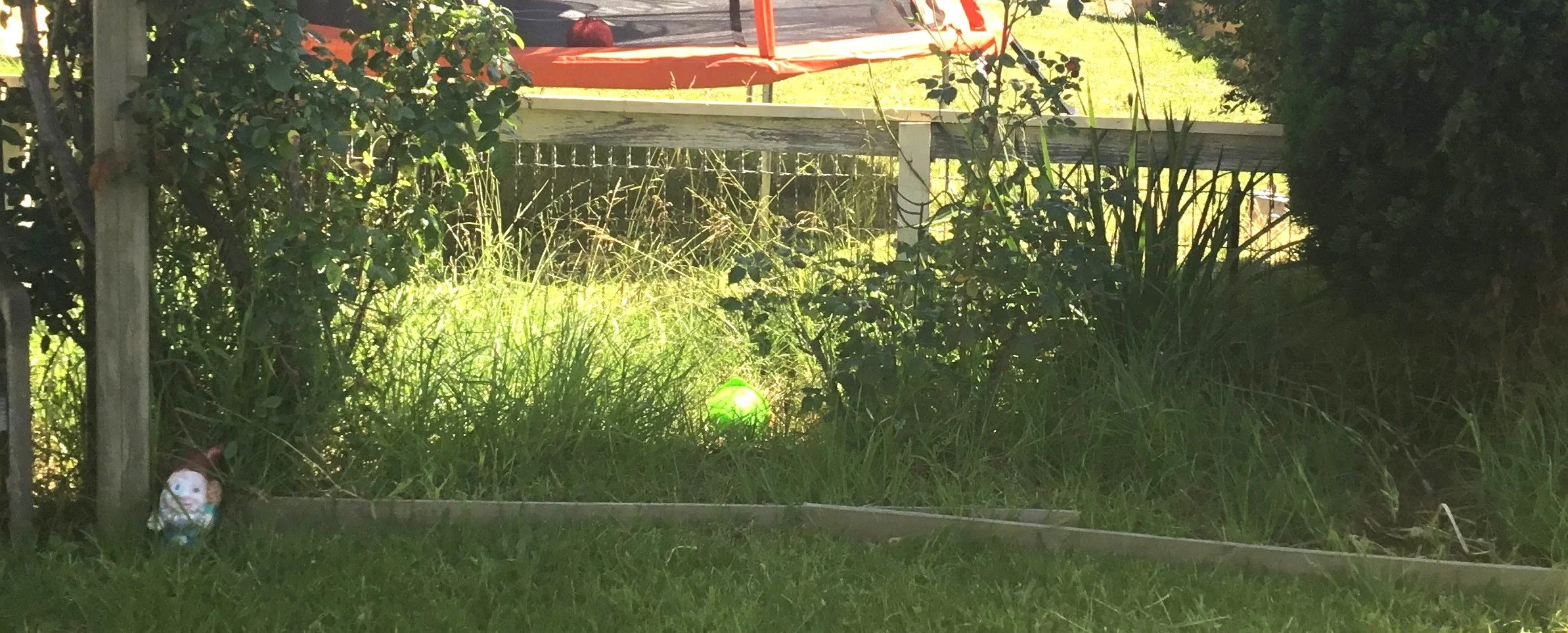 before Pascoe Vale South.JPG