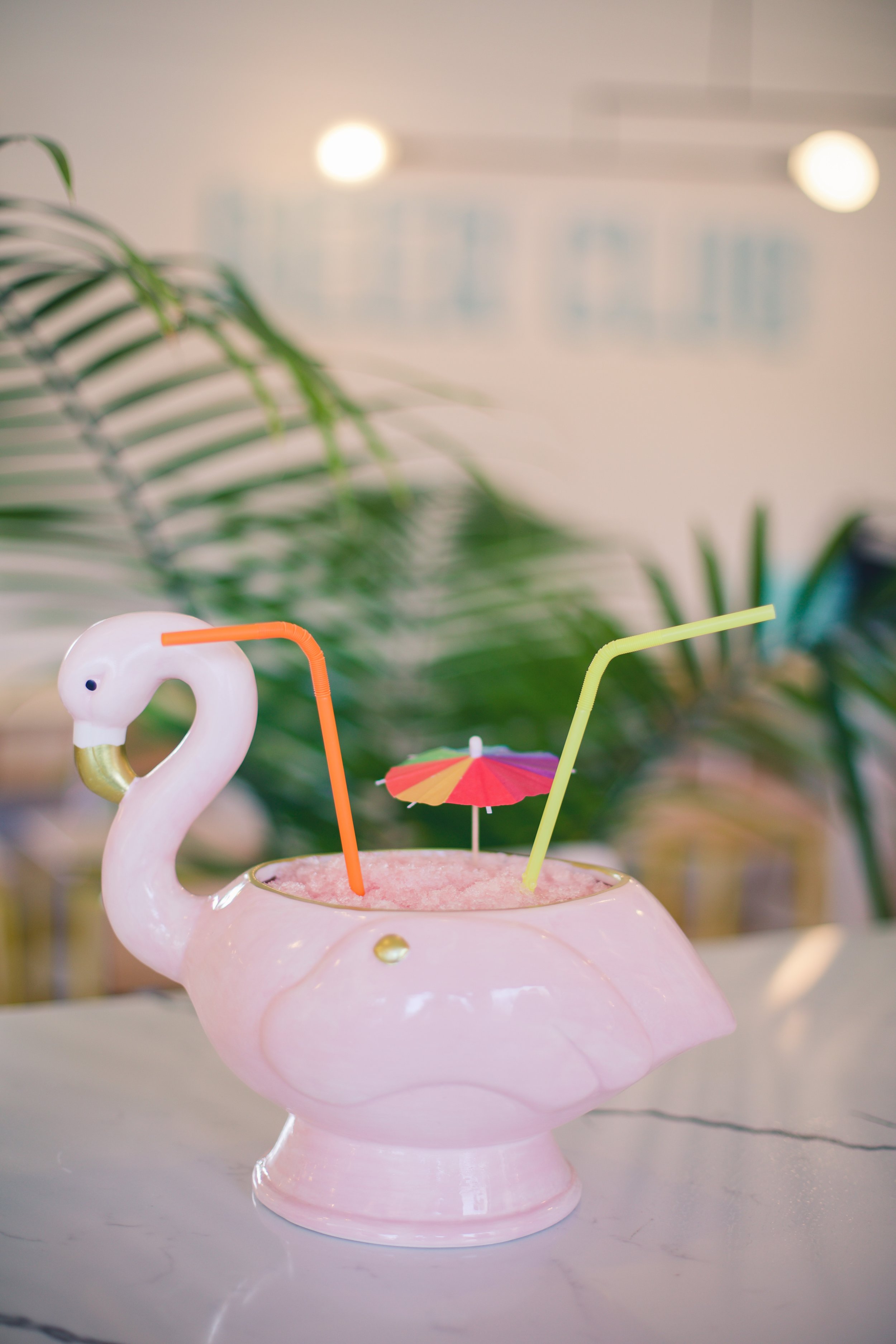 Flamingo.JPG