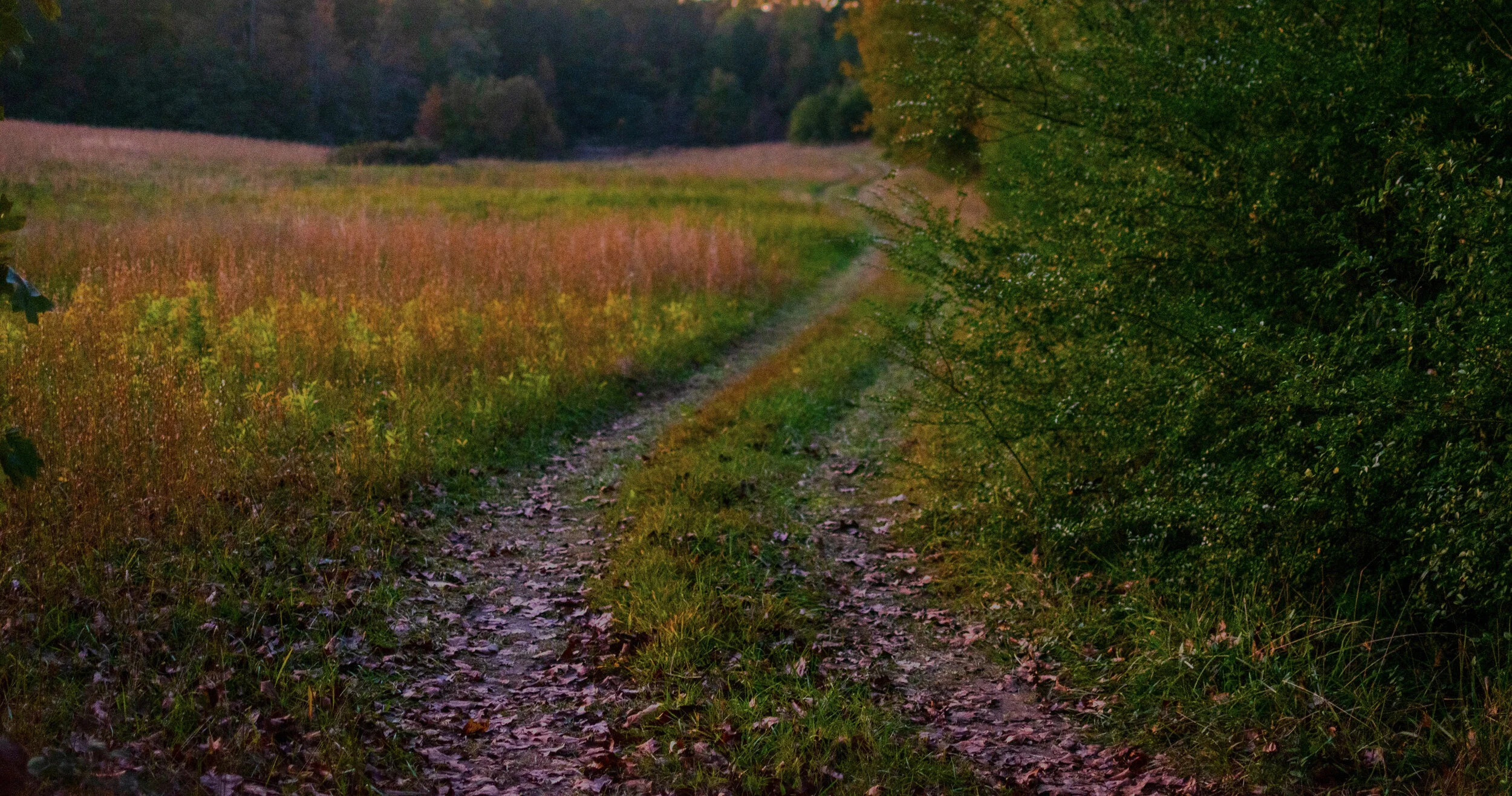 DSC_0122 copy.jpg