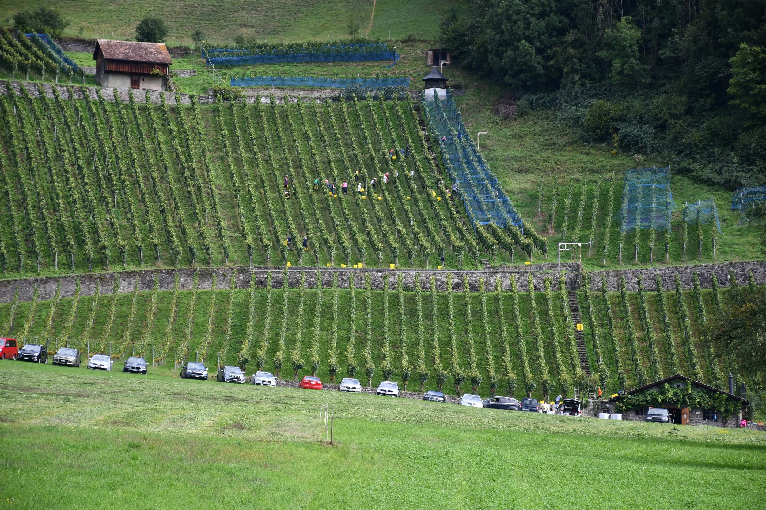 DSC_3043[44].JPG