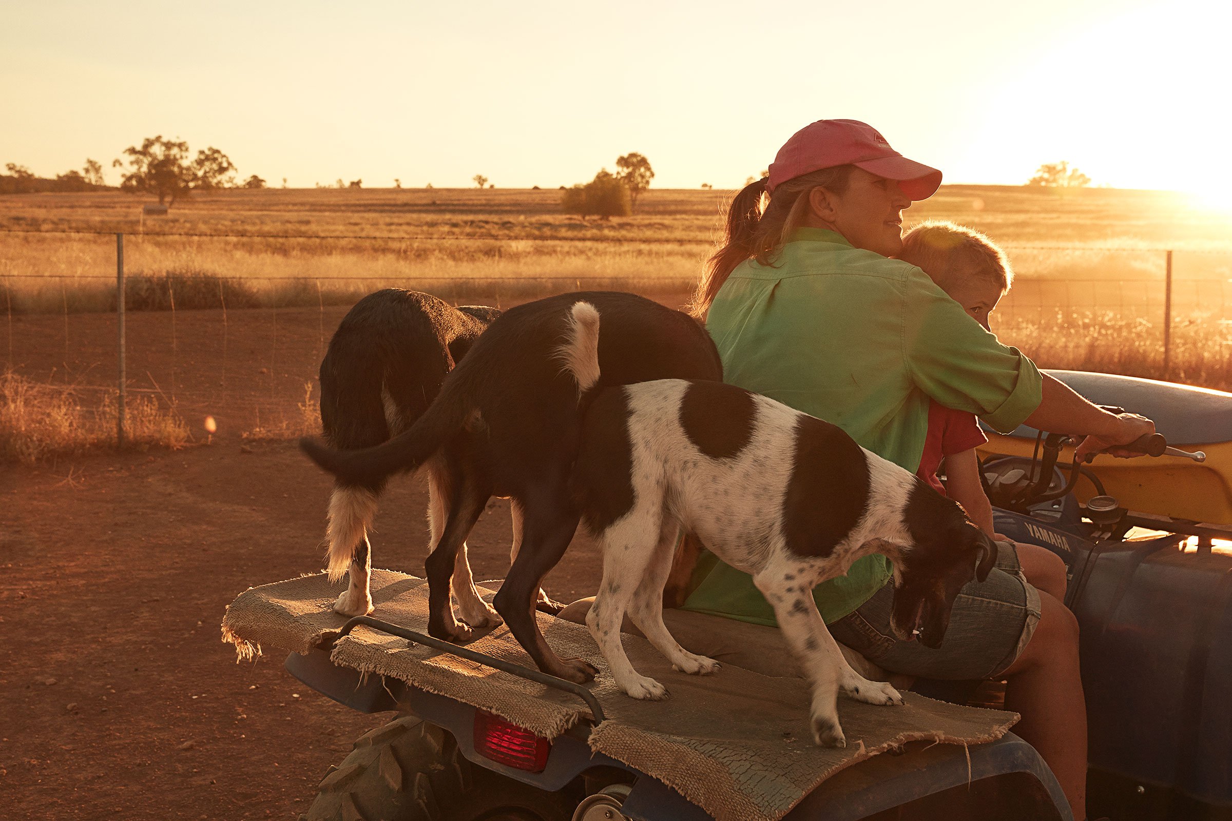 Flint-Sydney-Tom-Franks-Weekly Times-5.jpg