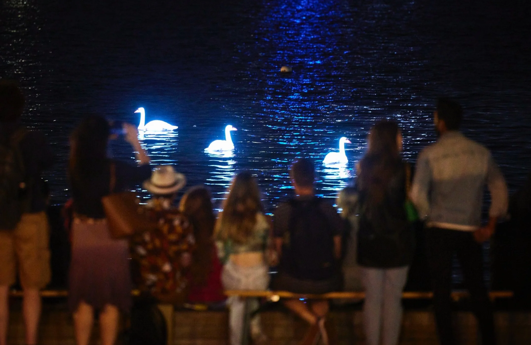 CYGNUS - Culture Festival Stockholm