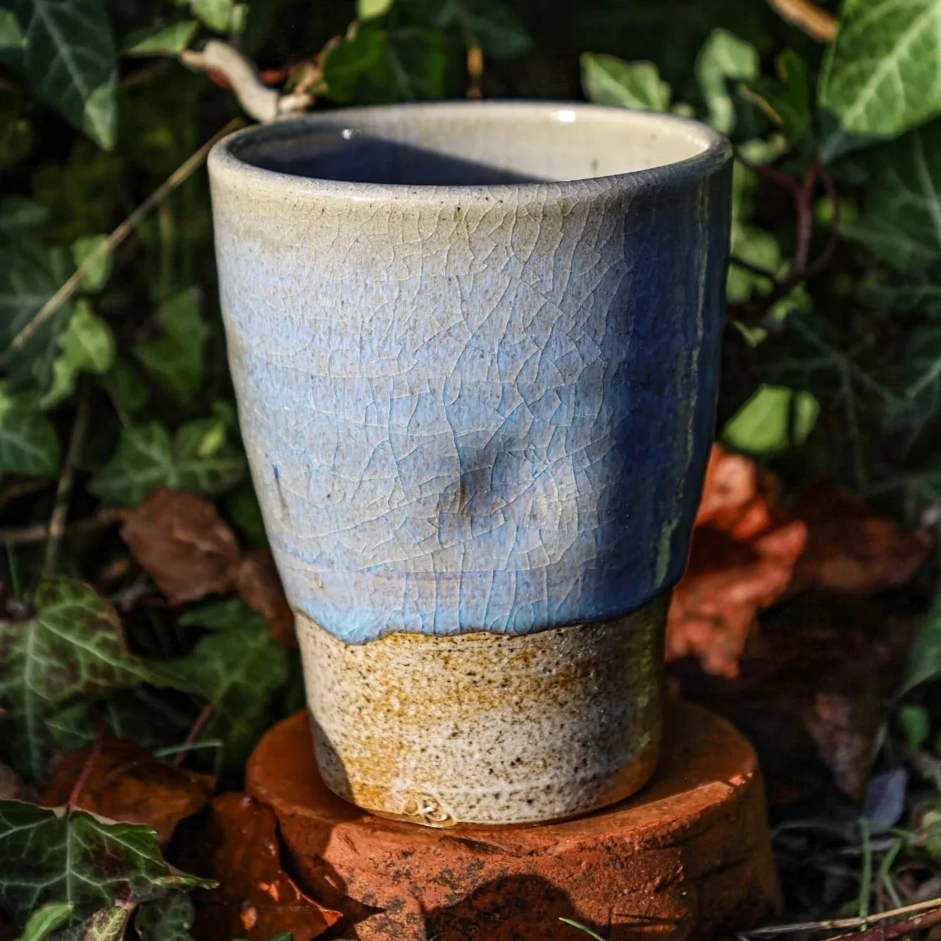IMG-20251210-WA0005.jpg