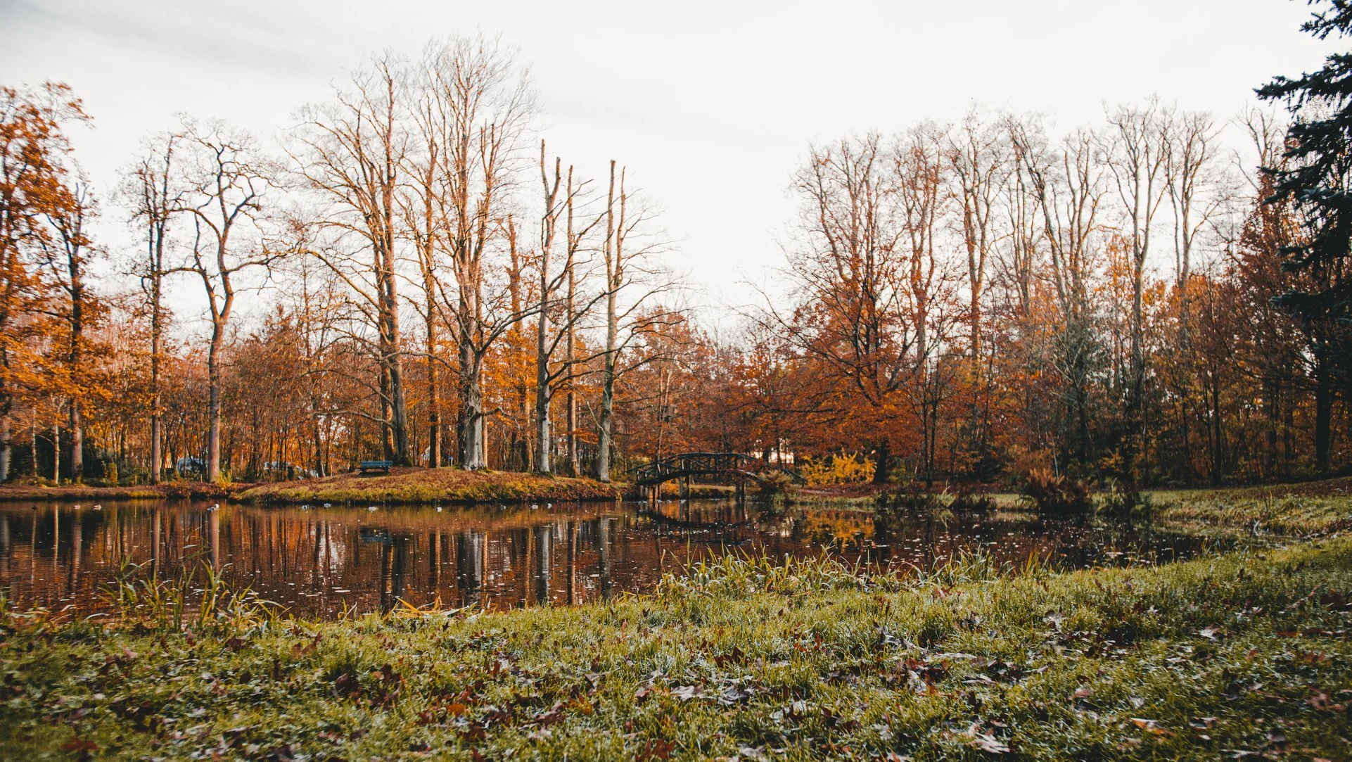 Waar liefde is wordt er geleefd...