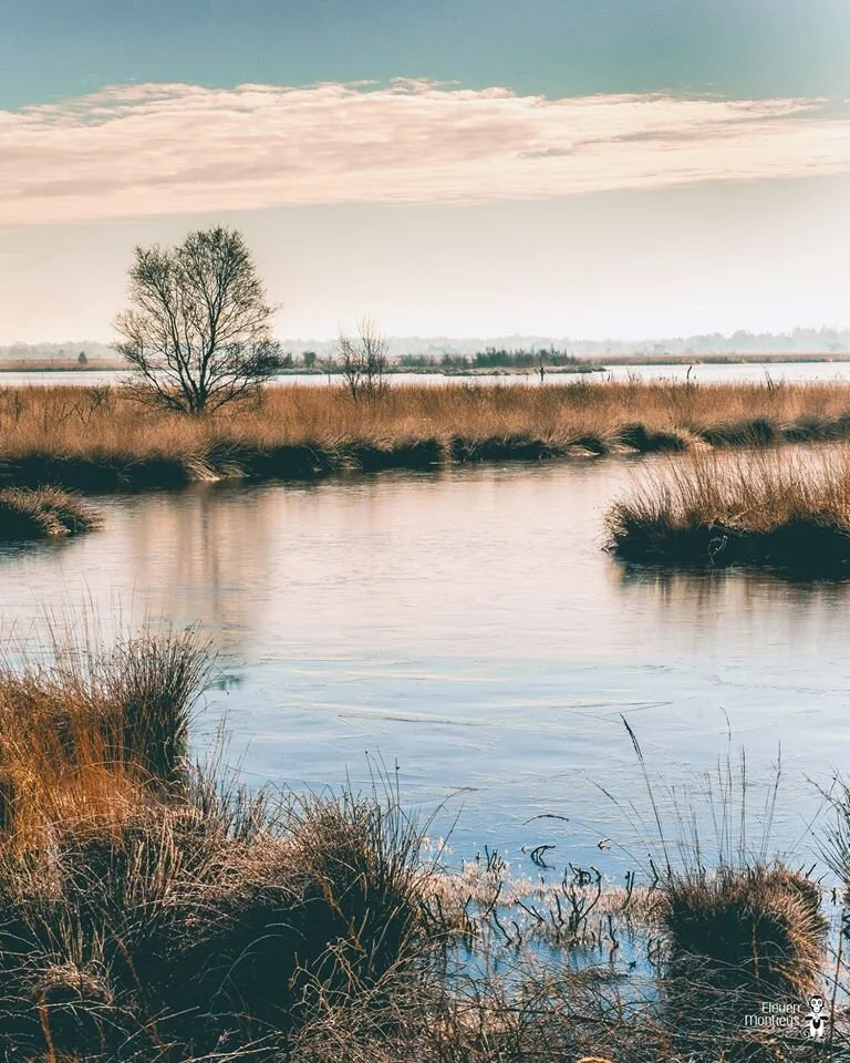 Ik dans altijd in het donker...