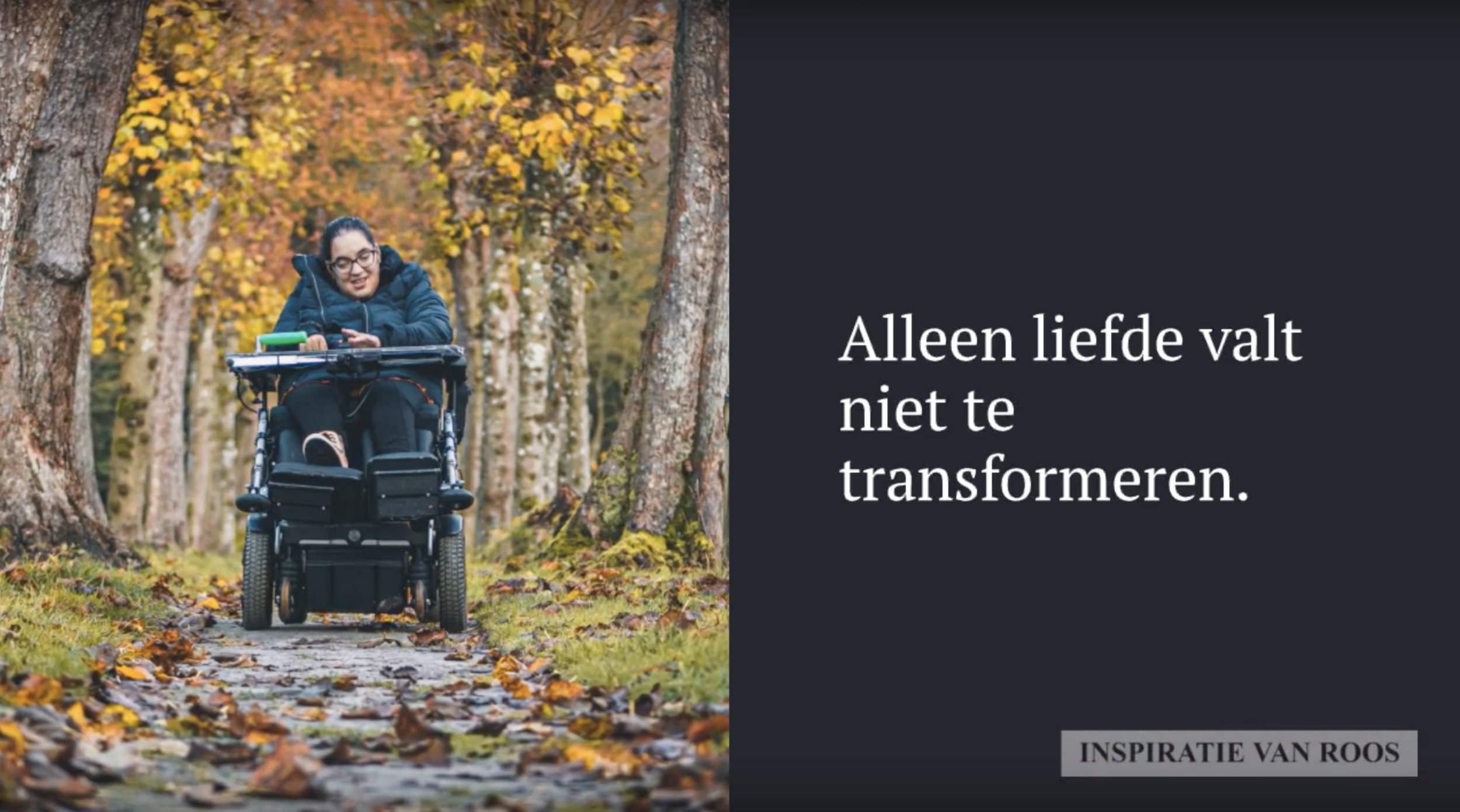 Inspiratie video