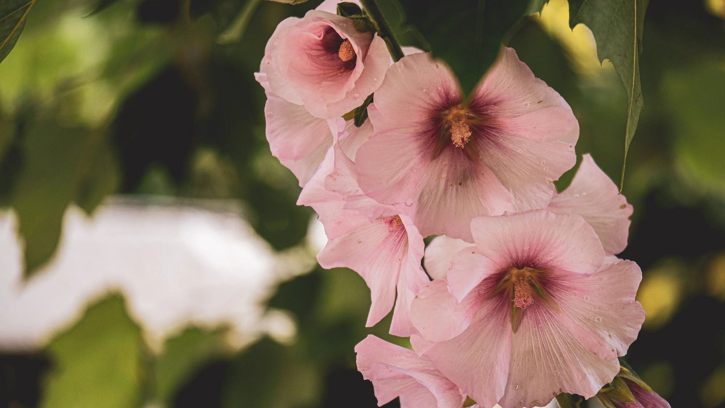 Vrij zijn in beperkte fysieke vrijheid.