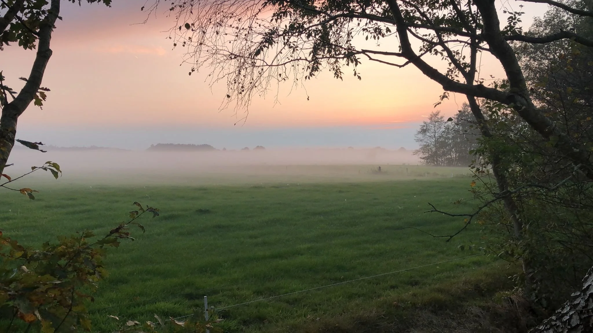 WhatsApp Image 2024-10-18 at 18.19.29.jpeg