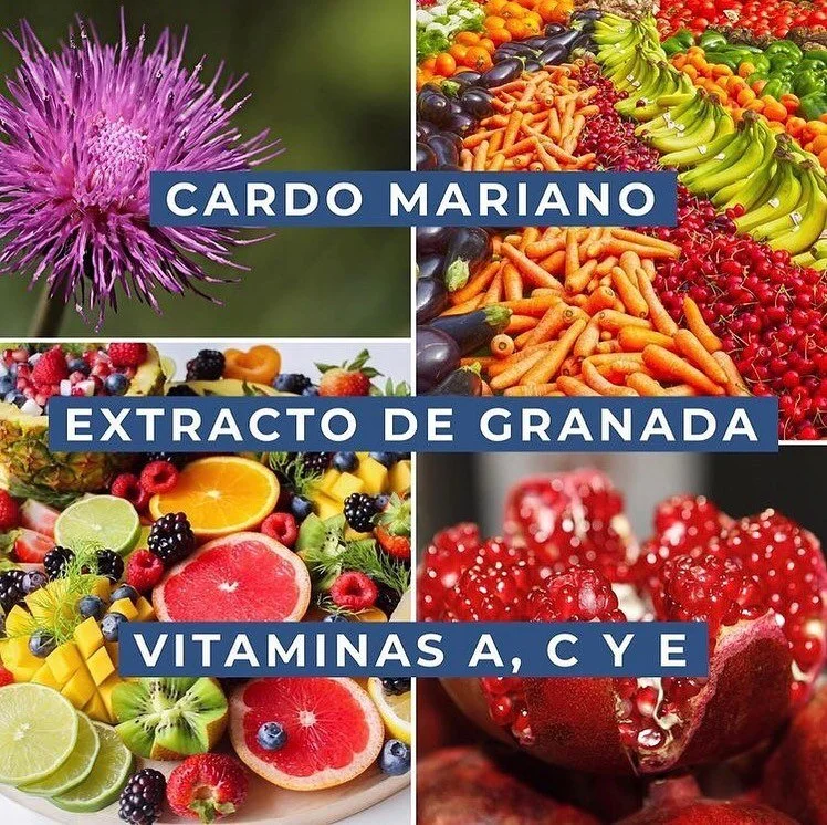 INGREDIENTES #ResActiv
CARDO MARIANO
EXTRACTO DE GRANADA
VITAMINAS A, C y E
#ResActiv cuenta con un doble mecanismo de acción:
1. Gracias a las VITAMINAS y al EXTRACTO DE GRANADA:
Bloquea la formación de acetaldehído, por su