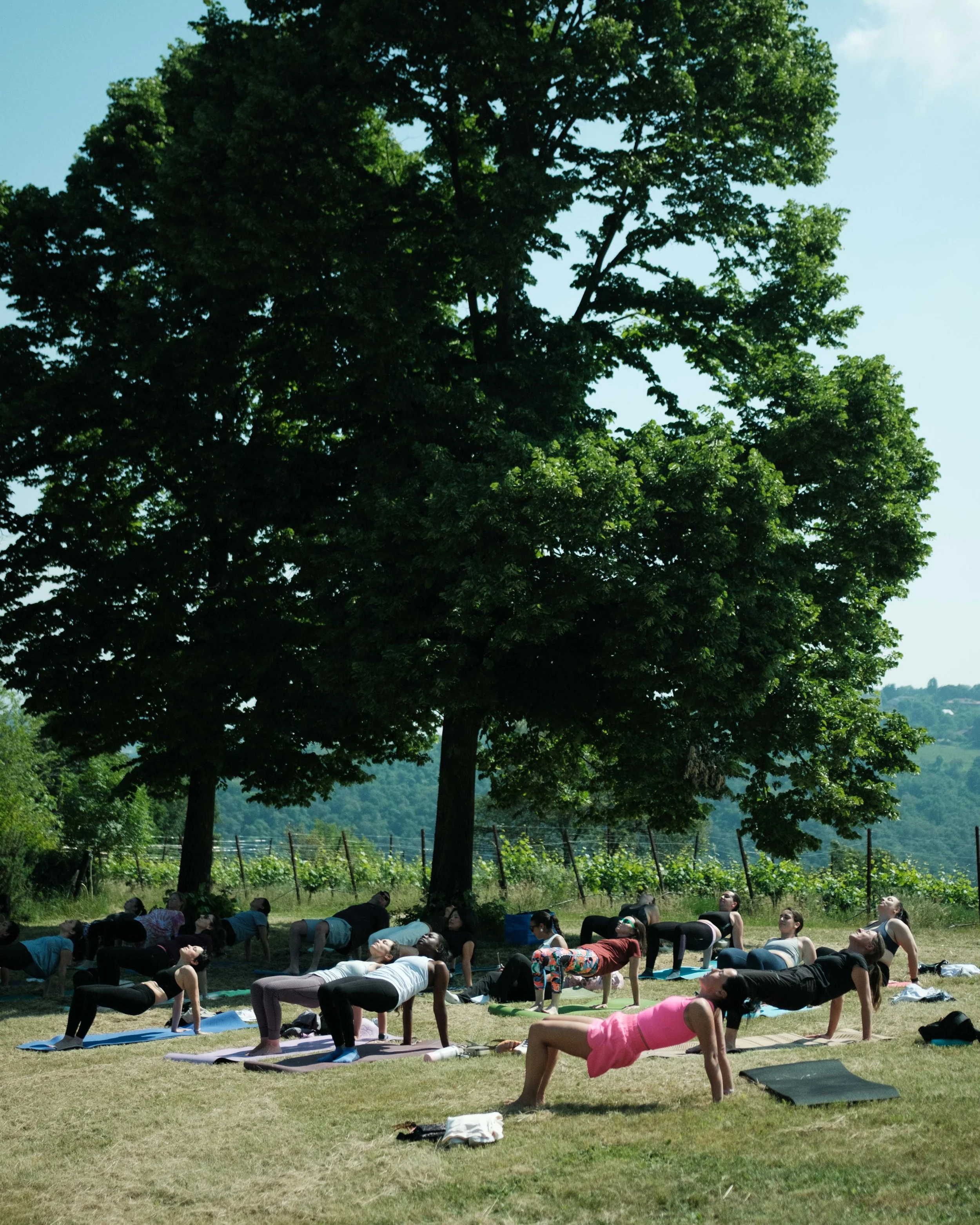 Yoga and wine experience vicenza-71.jpg