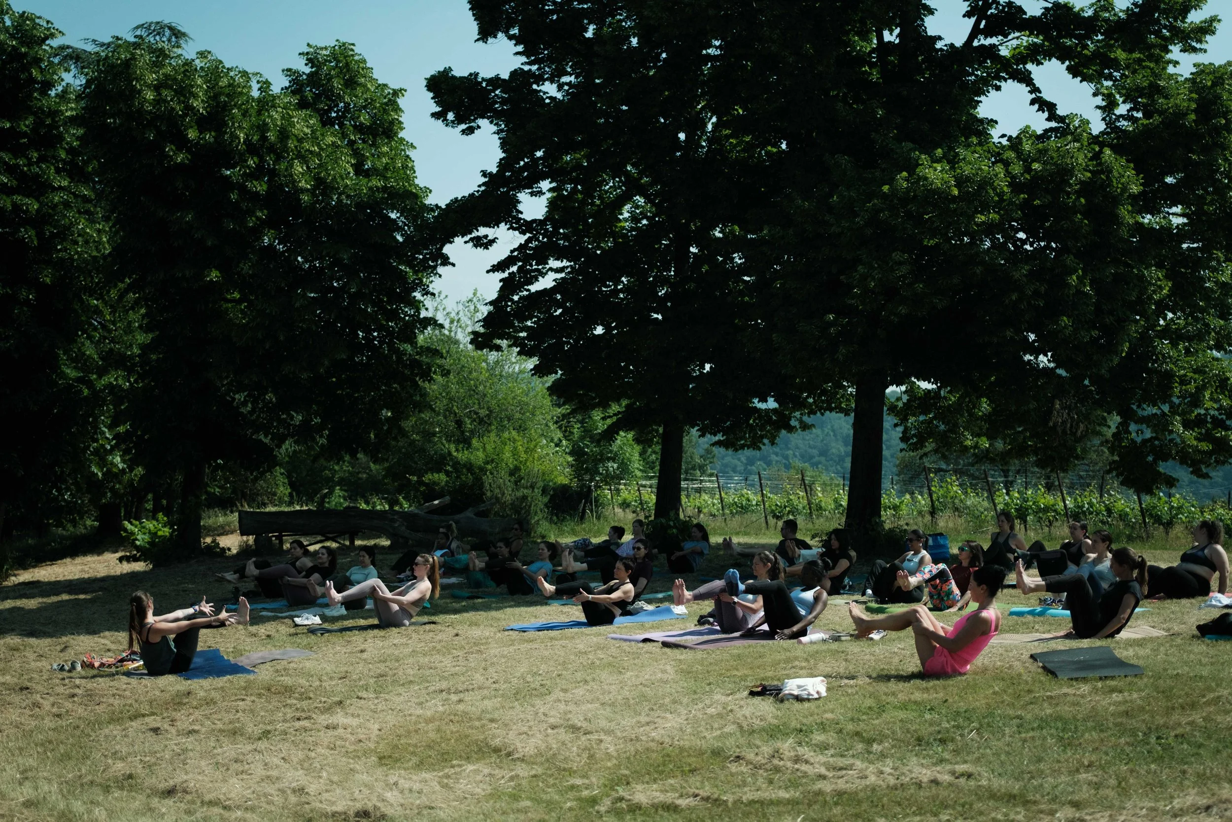 Yoga and wine experience vicenza-72.jpg