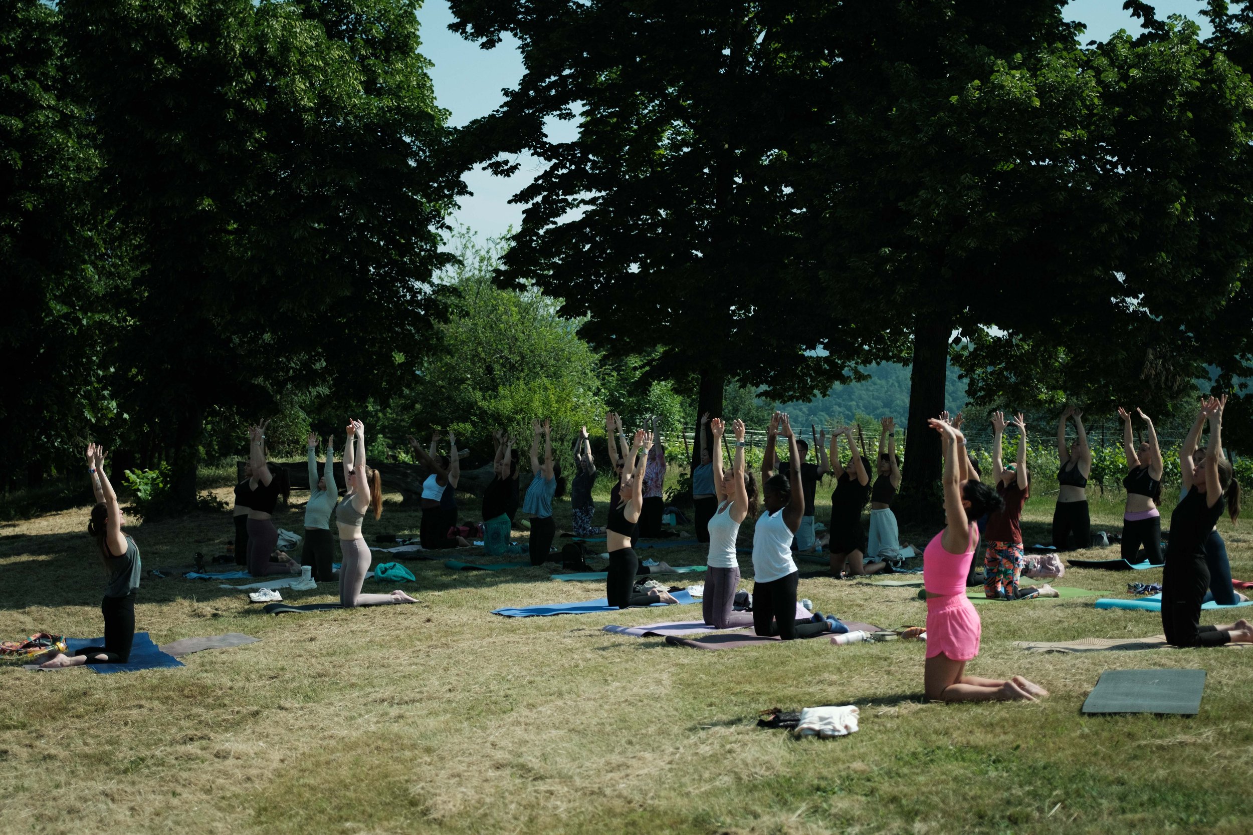 Yoga and wine experience vicenza-68.jpg