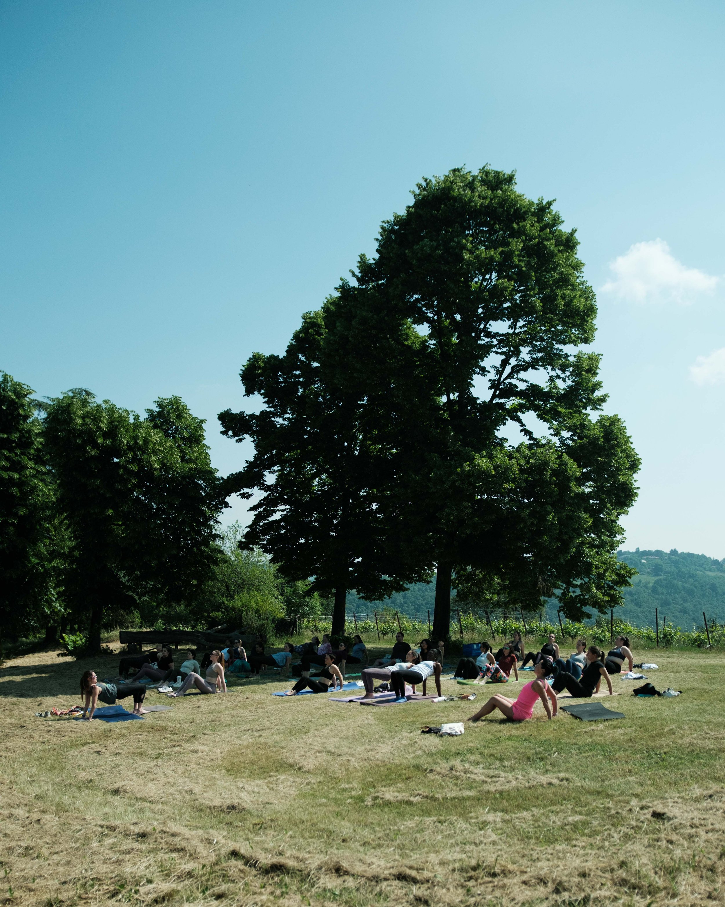 Yoga and wine experience vicenza-70.jpg