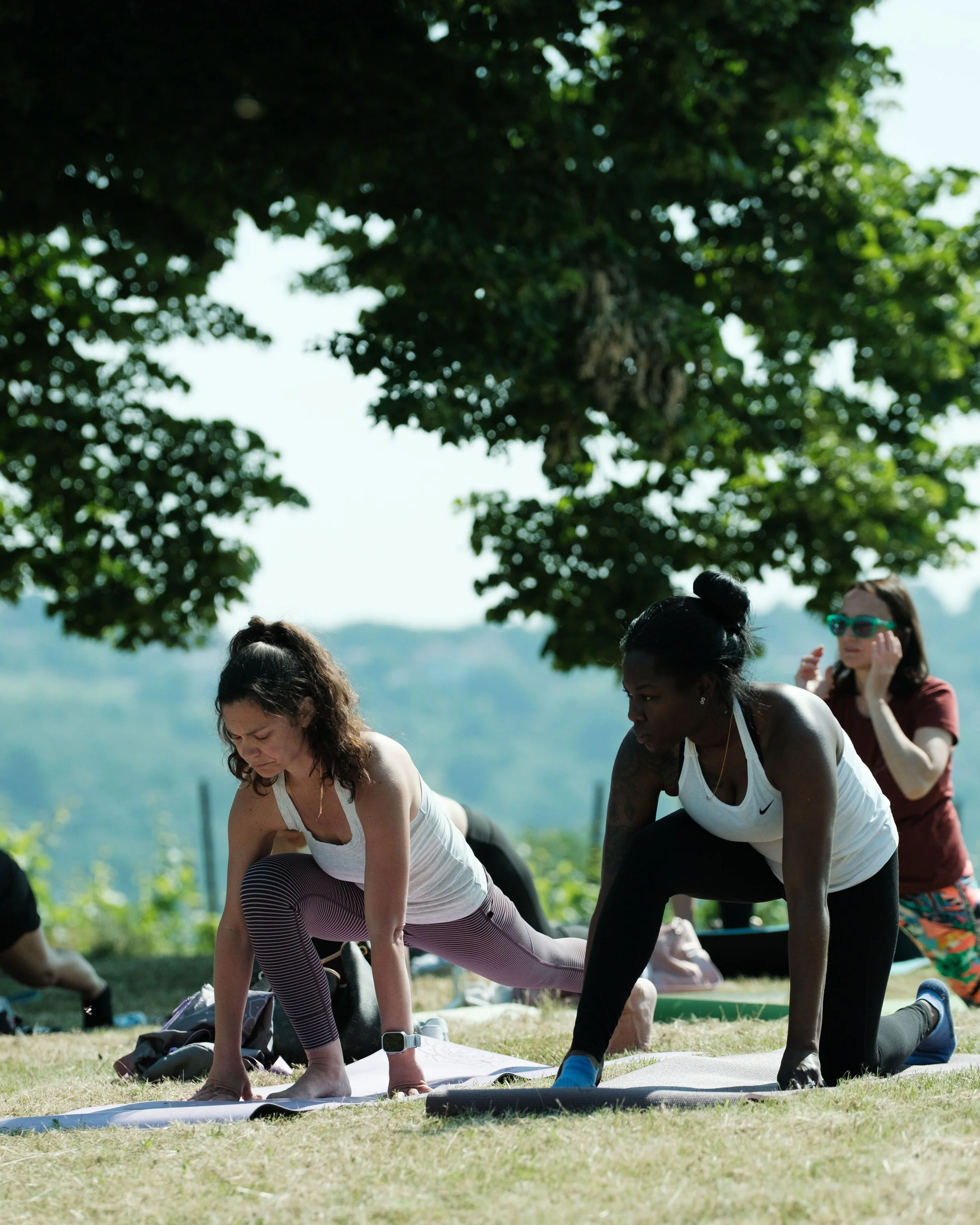 Yoga and wine experience vicenza-23.jpg