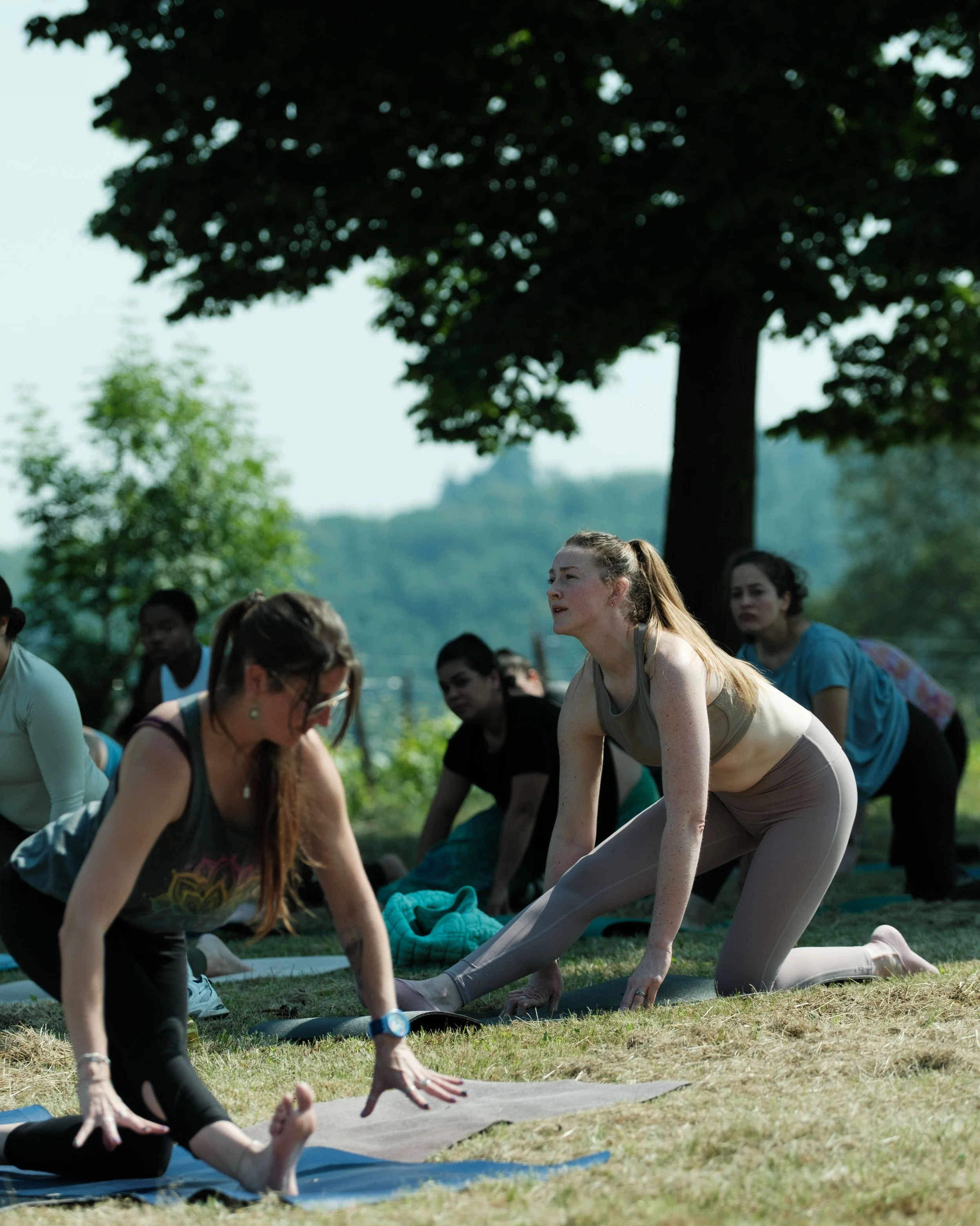 Yoga and wine experience vicenza-21.jpg