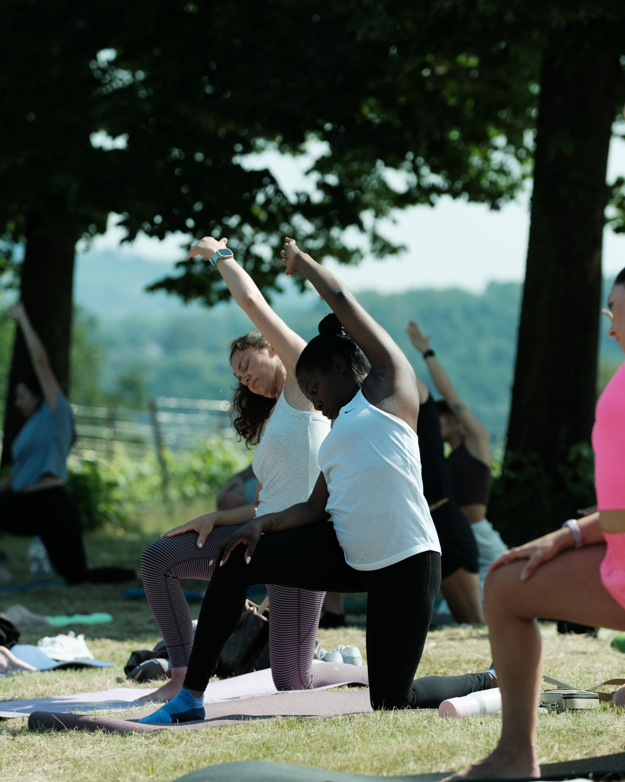 Yoga and wine experience vicenza-17.jpg