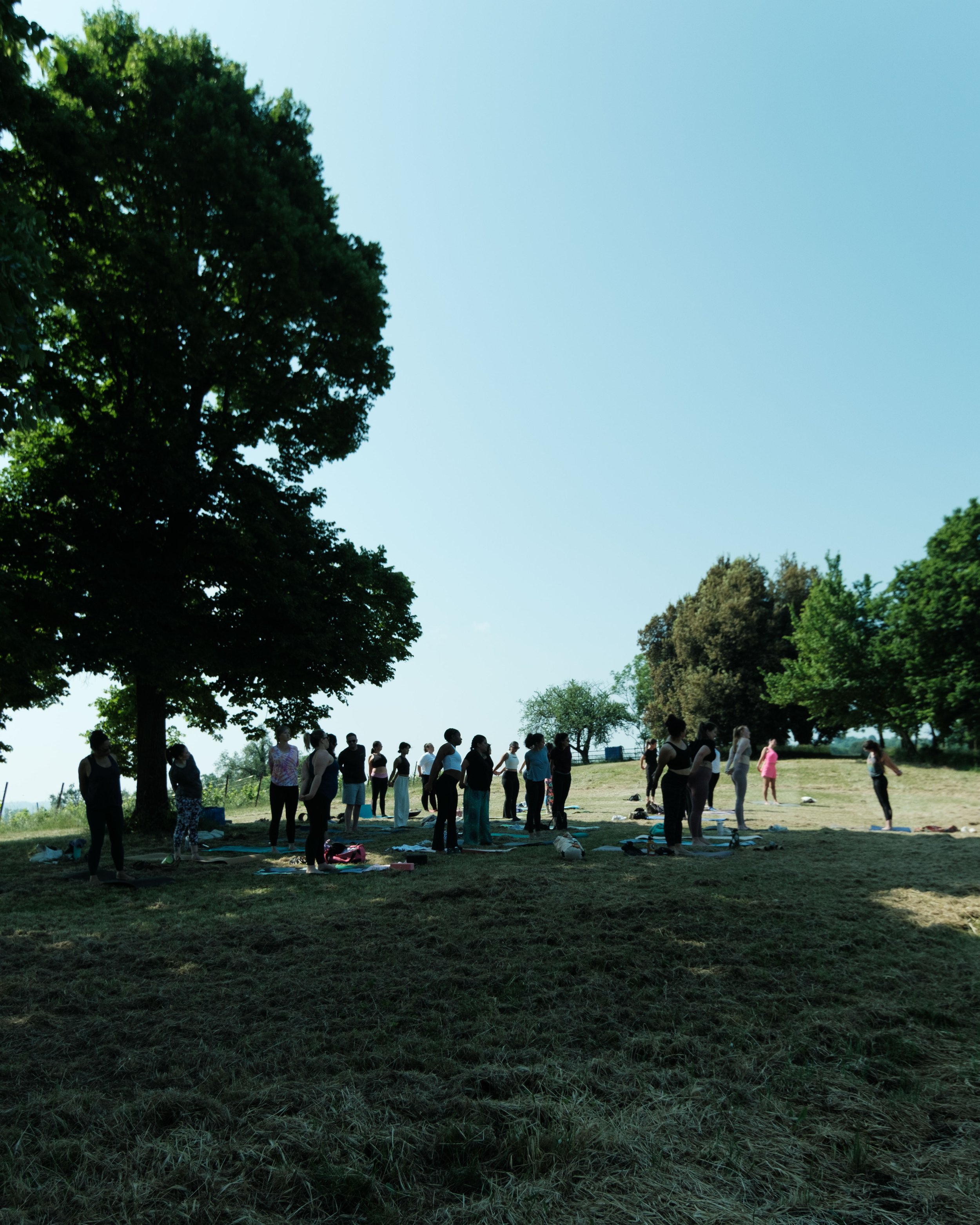 Yoga and wine experience vicenza-6.jpg