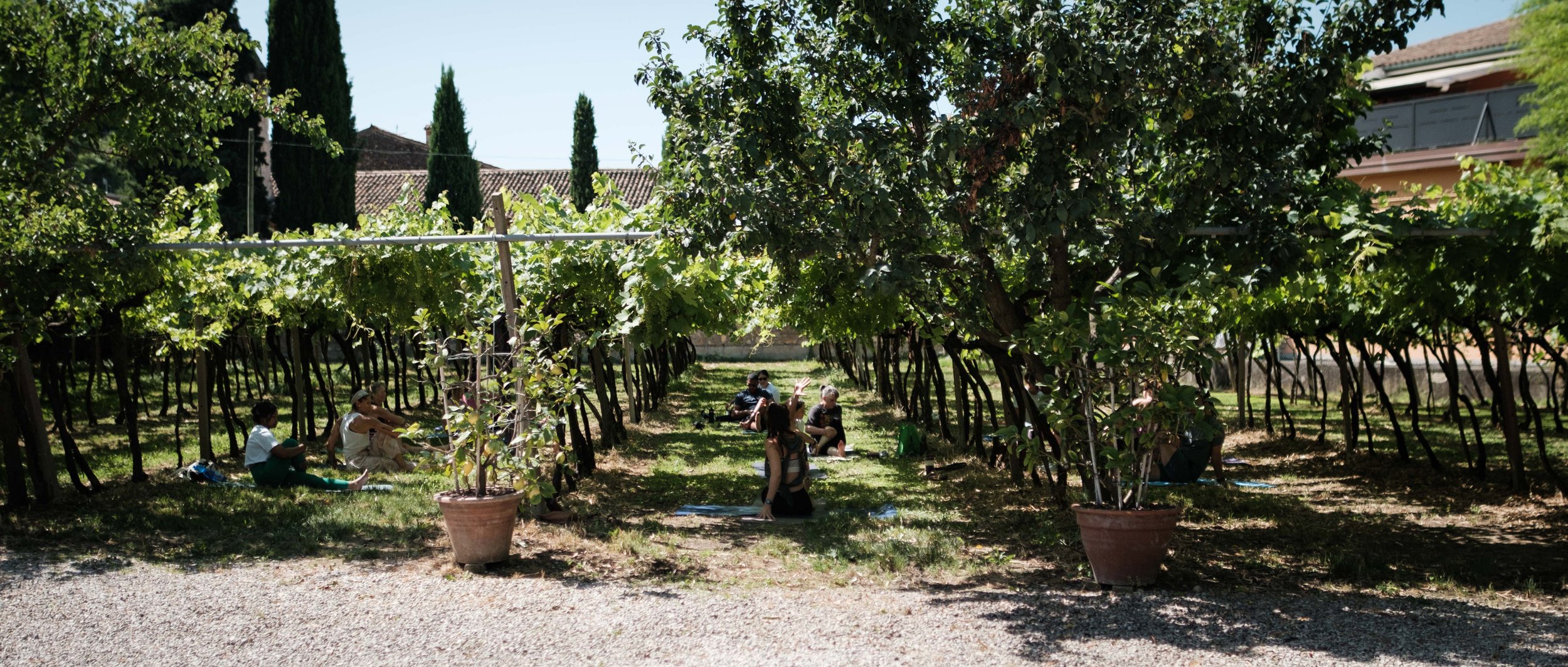 Yoga Vicenza - Soave event -42.jpg