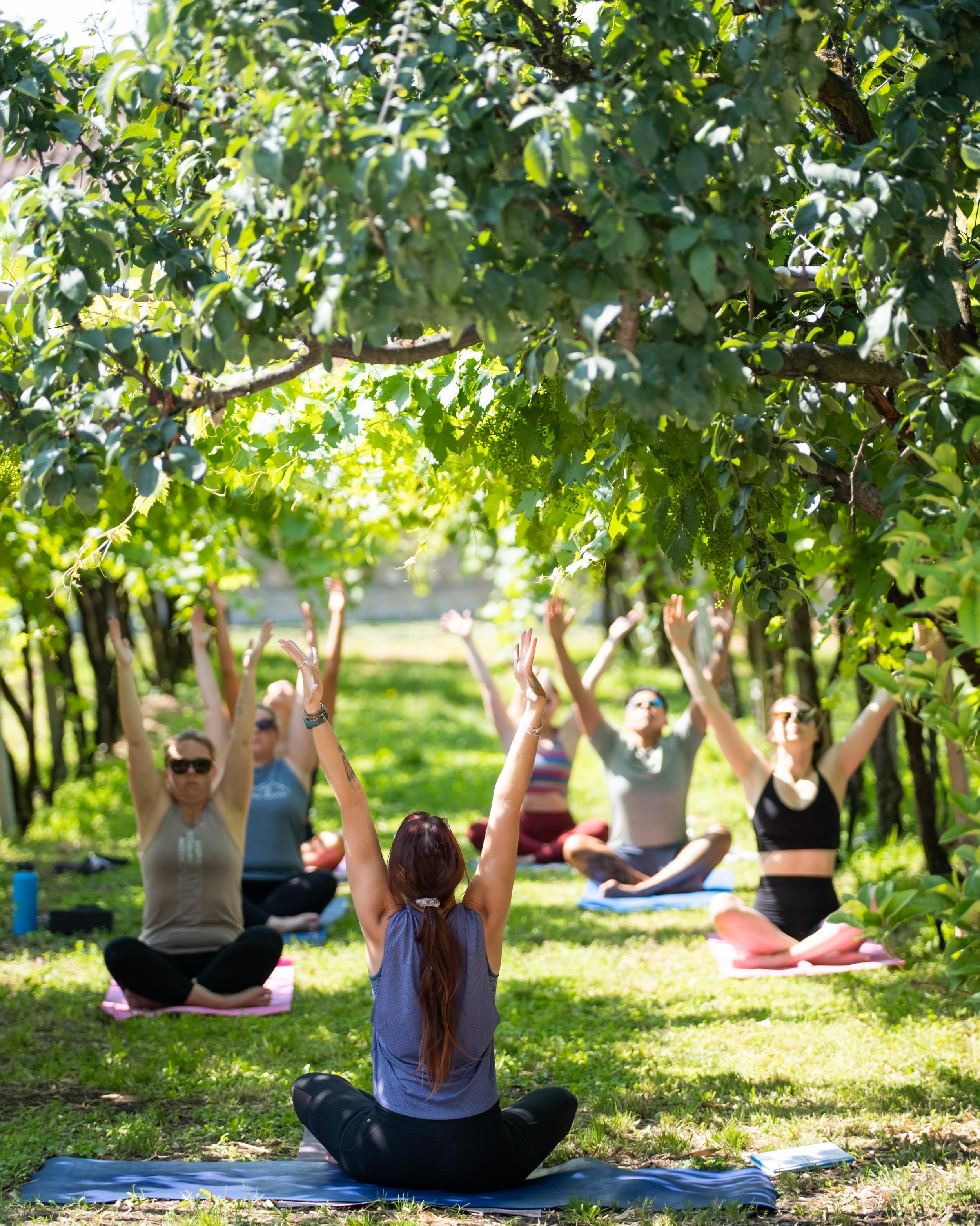 Seren Yoga - Soave June 23-6.jpg