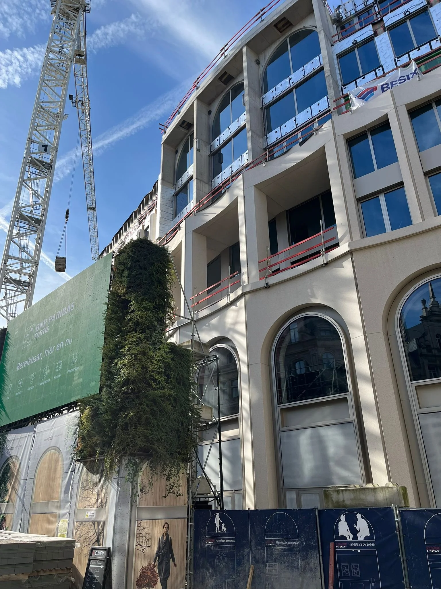 WhatsApp Image 2026-03-17 at 15.23.26.jpeg