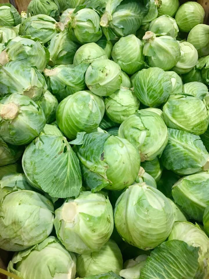 cabbage.jpg