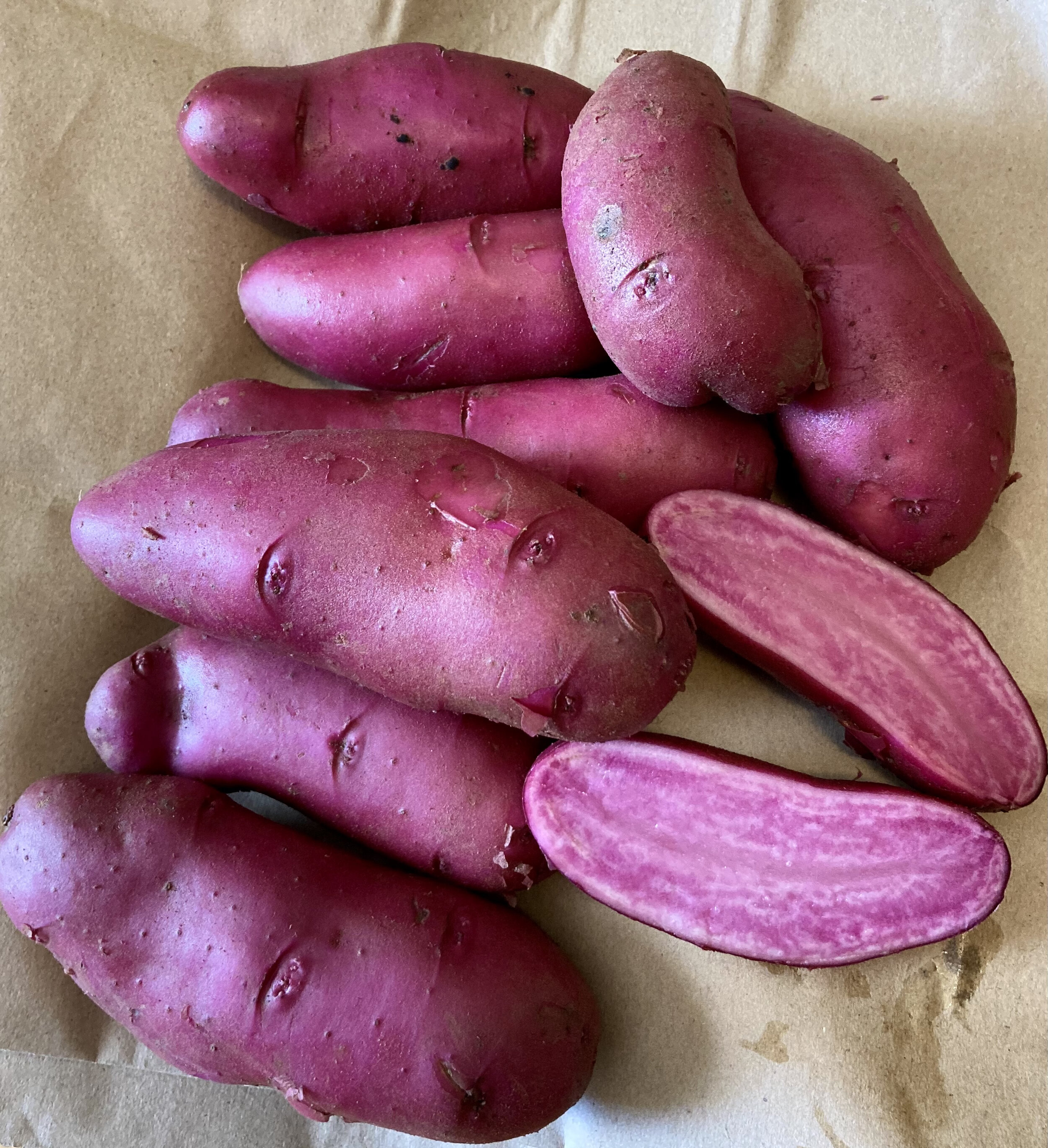 amarosa fingerling